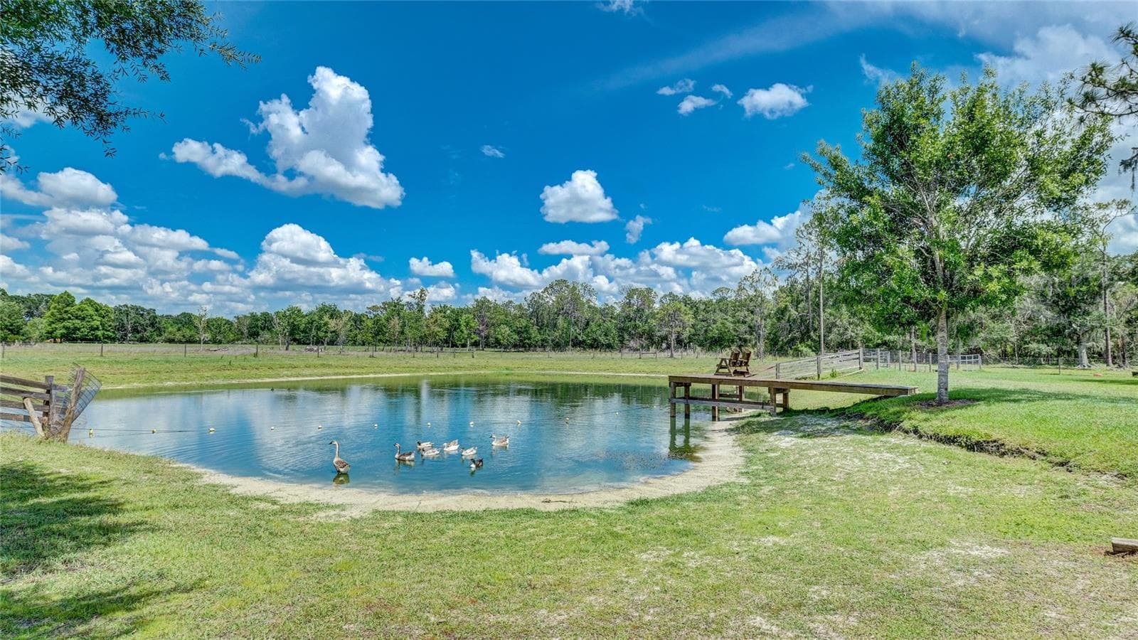 560 Oakford Rd photo 4