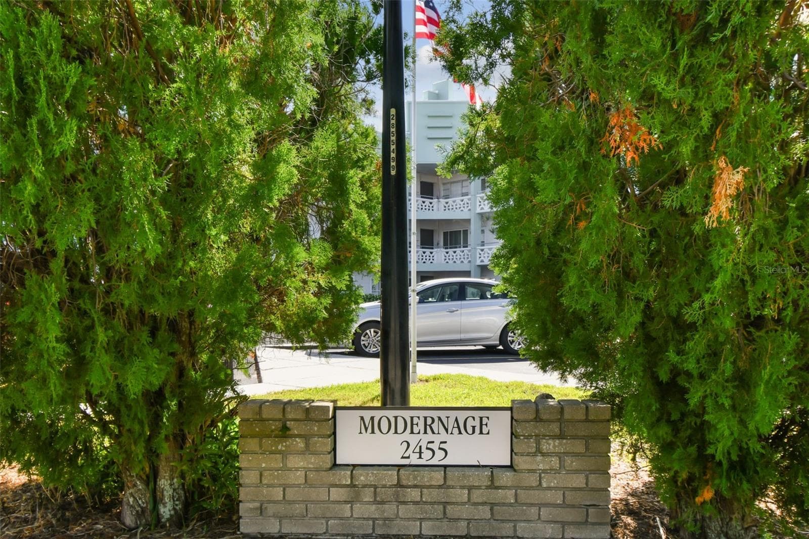 2455 Finlandia Ln #67 photo 5