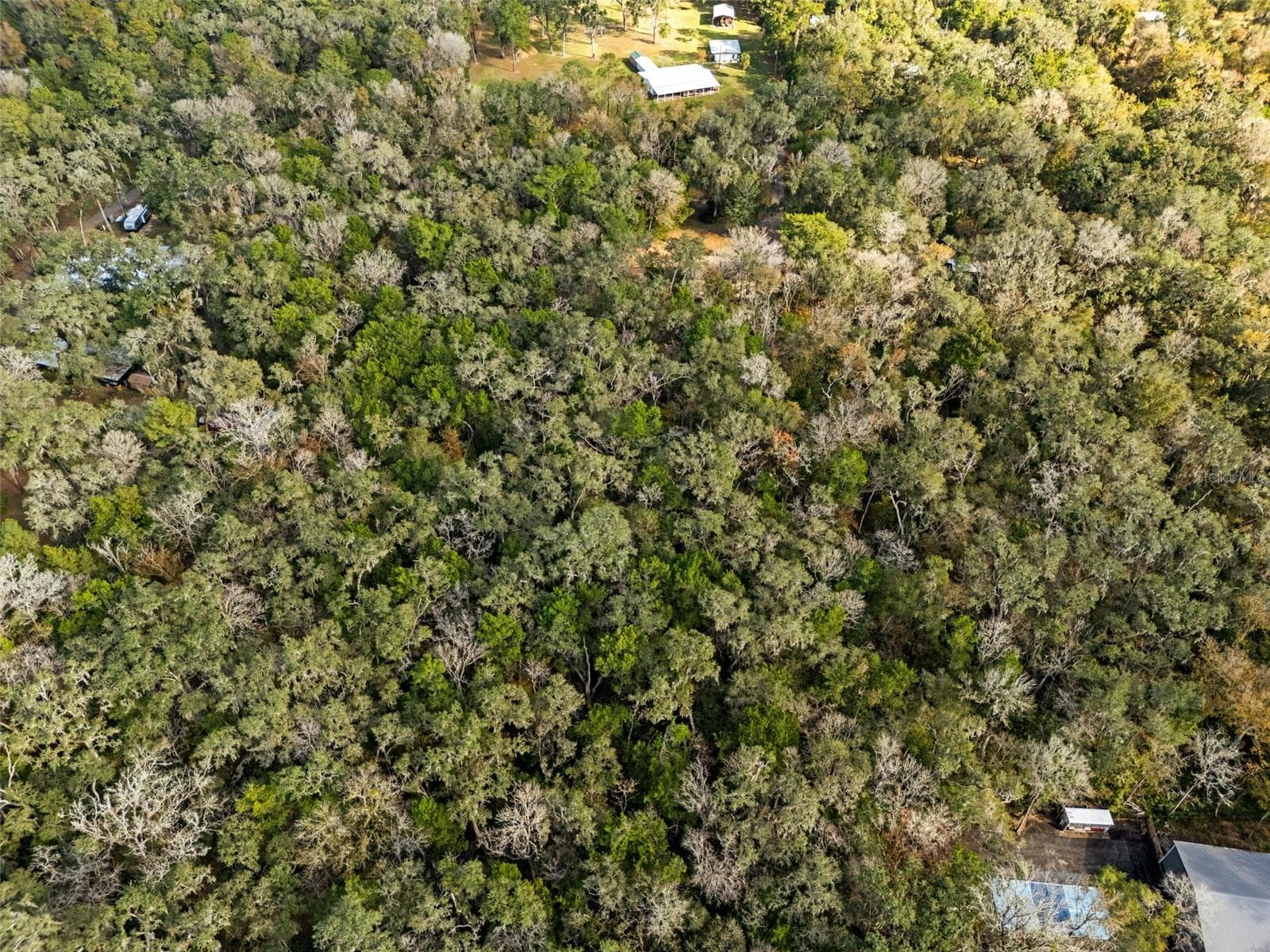 12047 Timber Ln photo 3