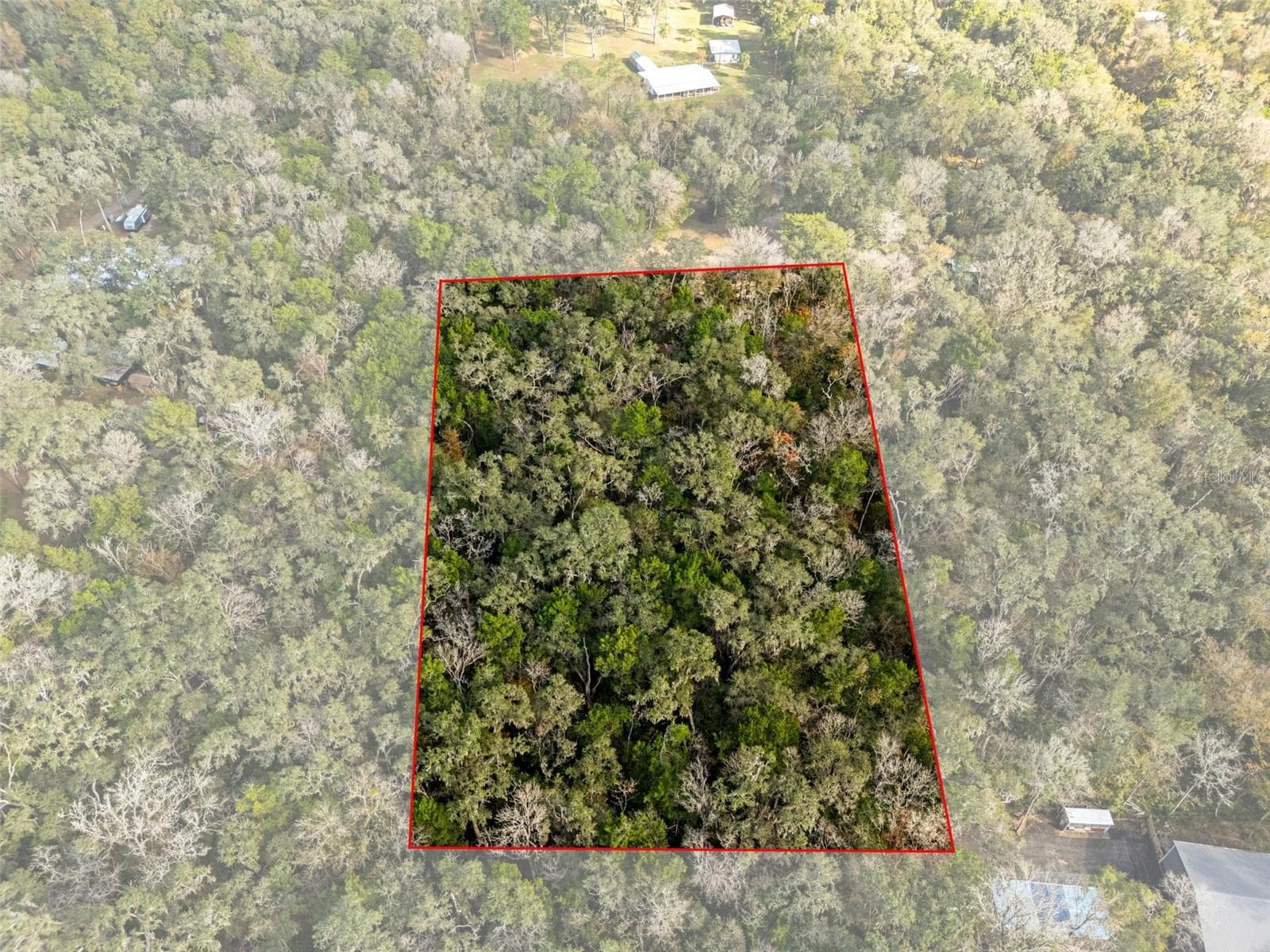 12047 Timber Ln photo 4