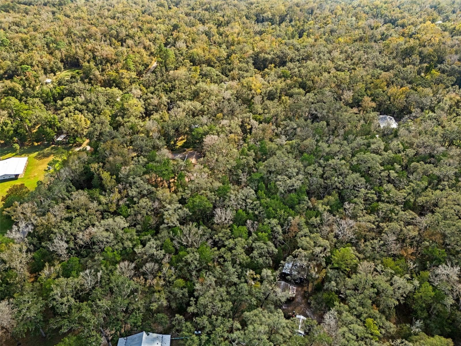 12047 Timber Ln photo 5