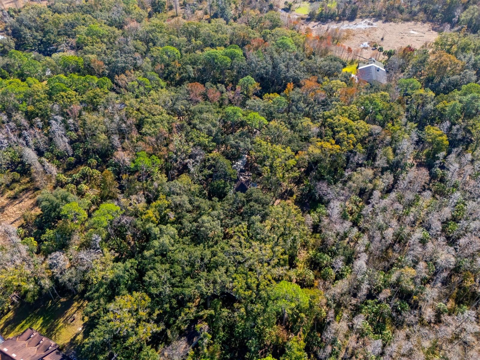 8725 Quail Run Dr photo 4