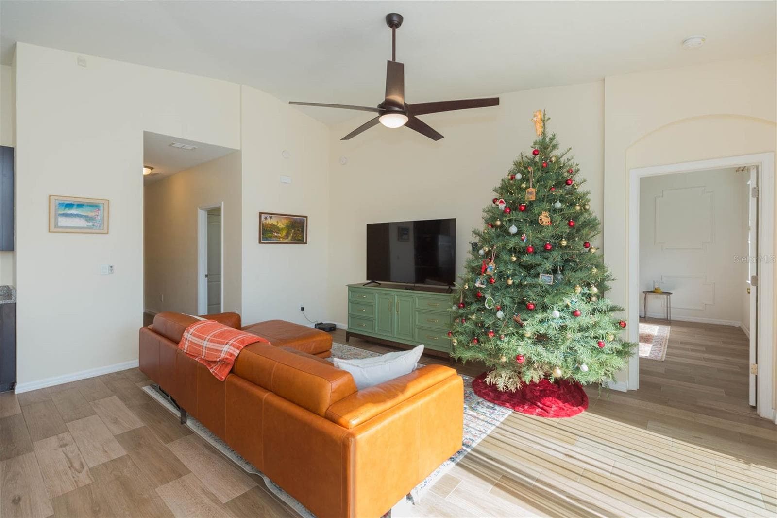 11241 Spring Point Cir photo 5