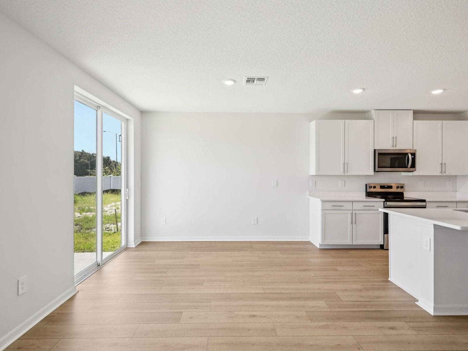 10425 Abundance Grove Way photo 3