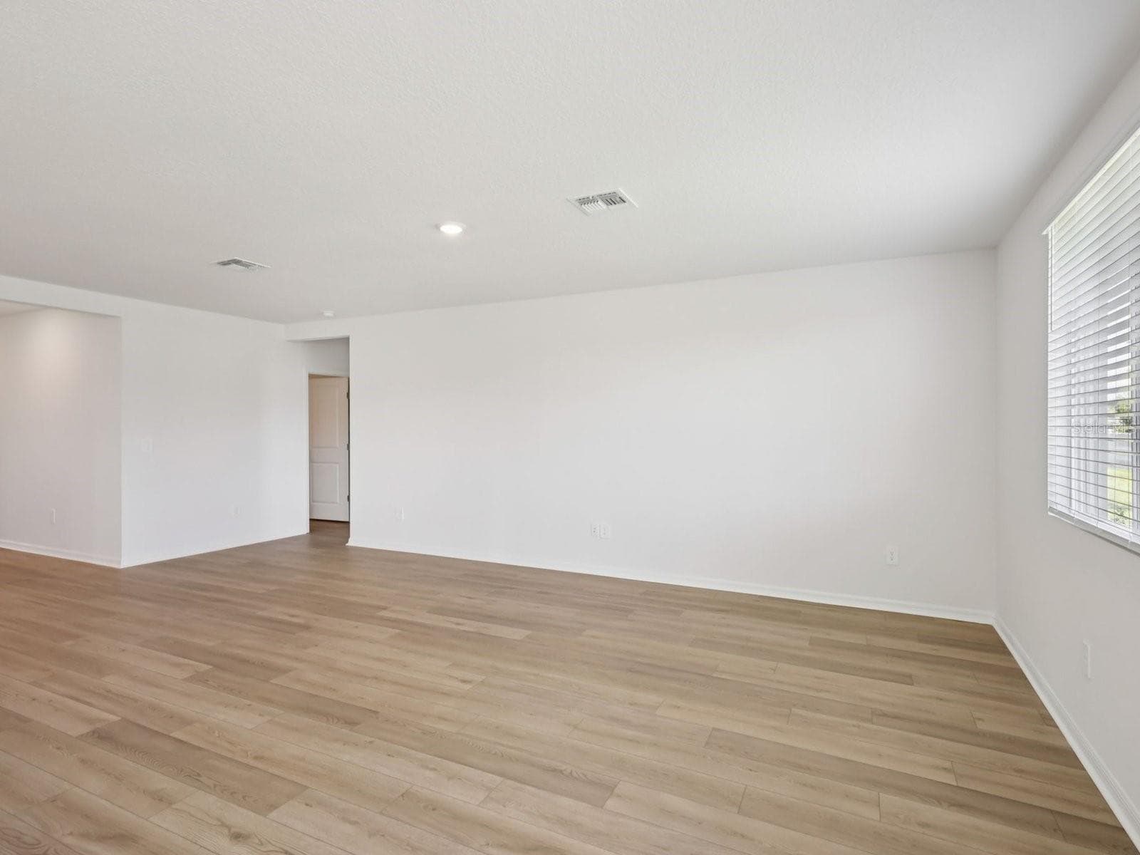 10425 Abundance Grove Way photo 4