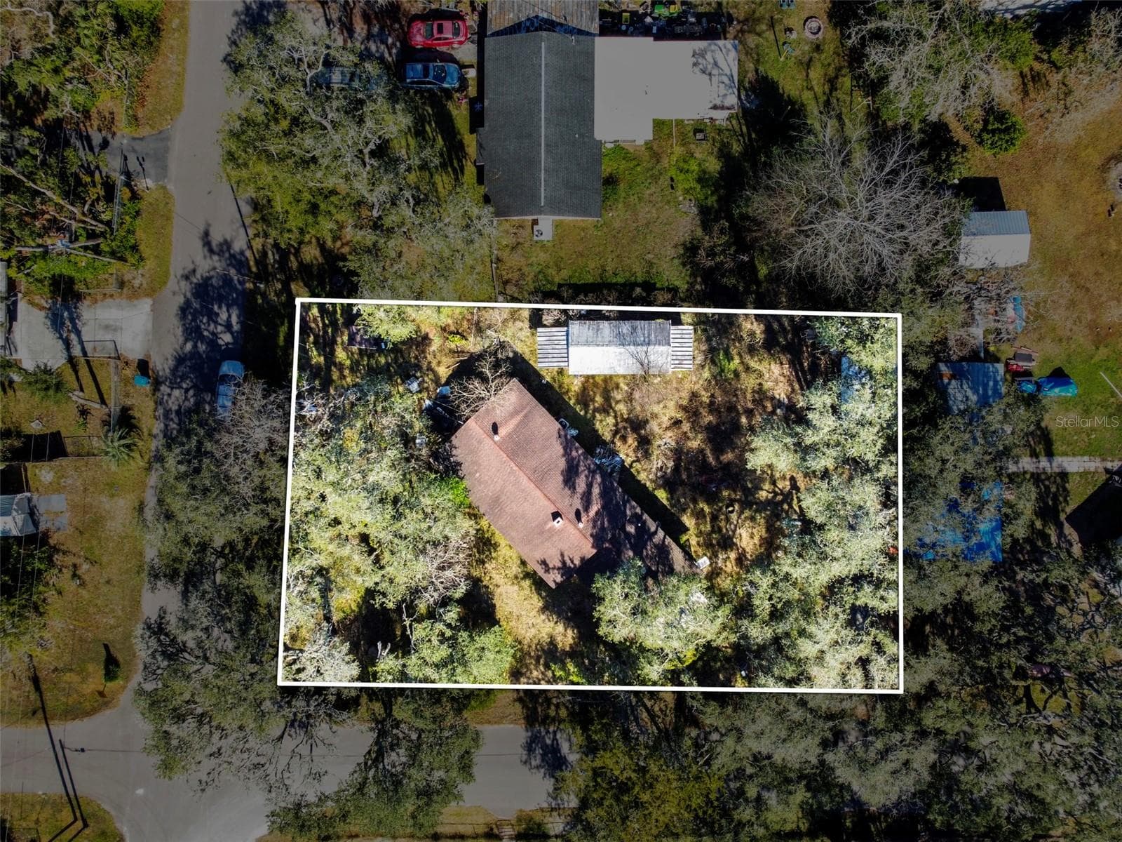 33073 Cassandra Way photo 3