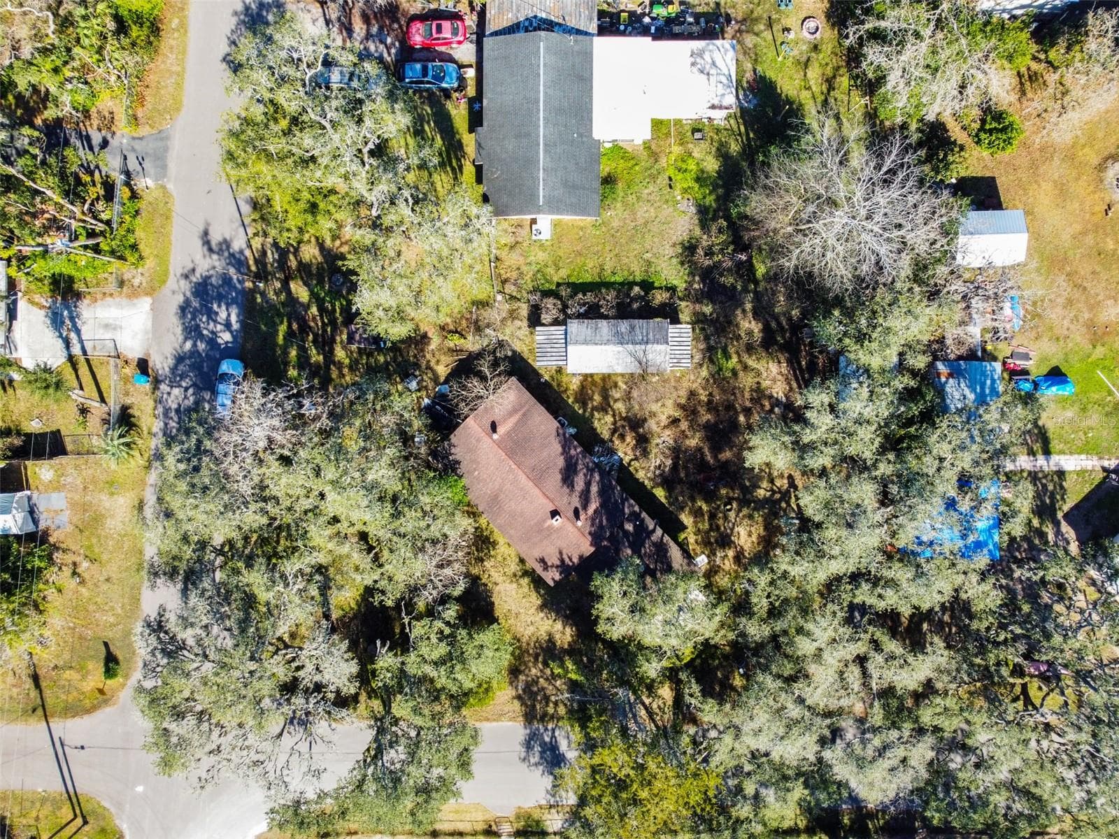33073 Cassandra Way photo 4