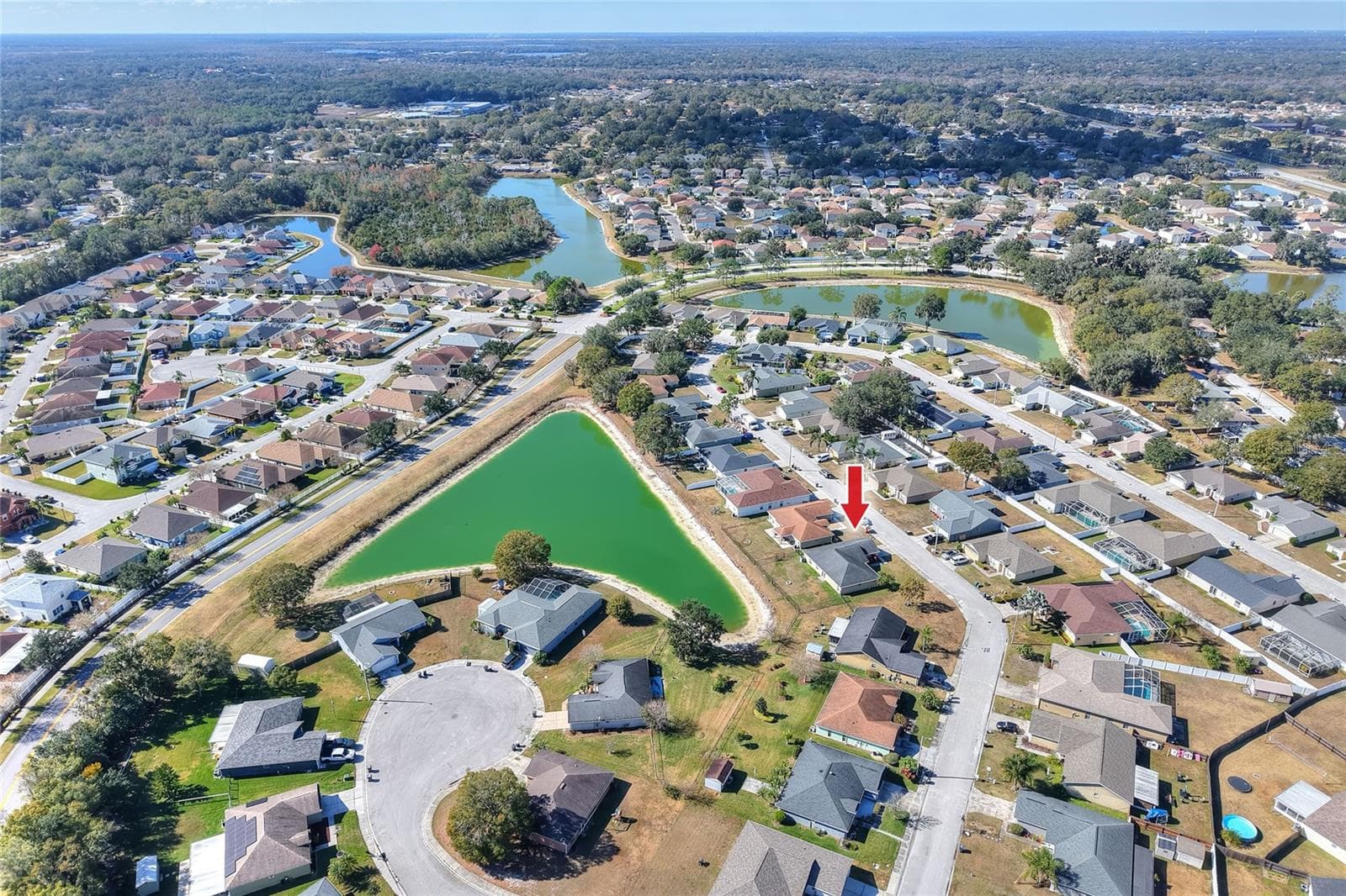 533 Seven Oaks photo 3