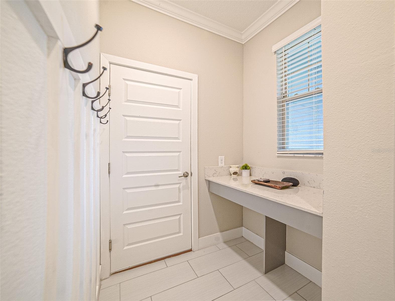 9732 Coneflower CT photo 4