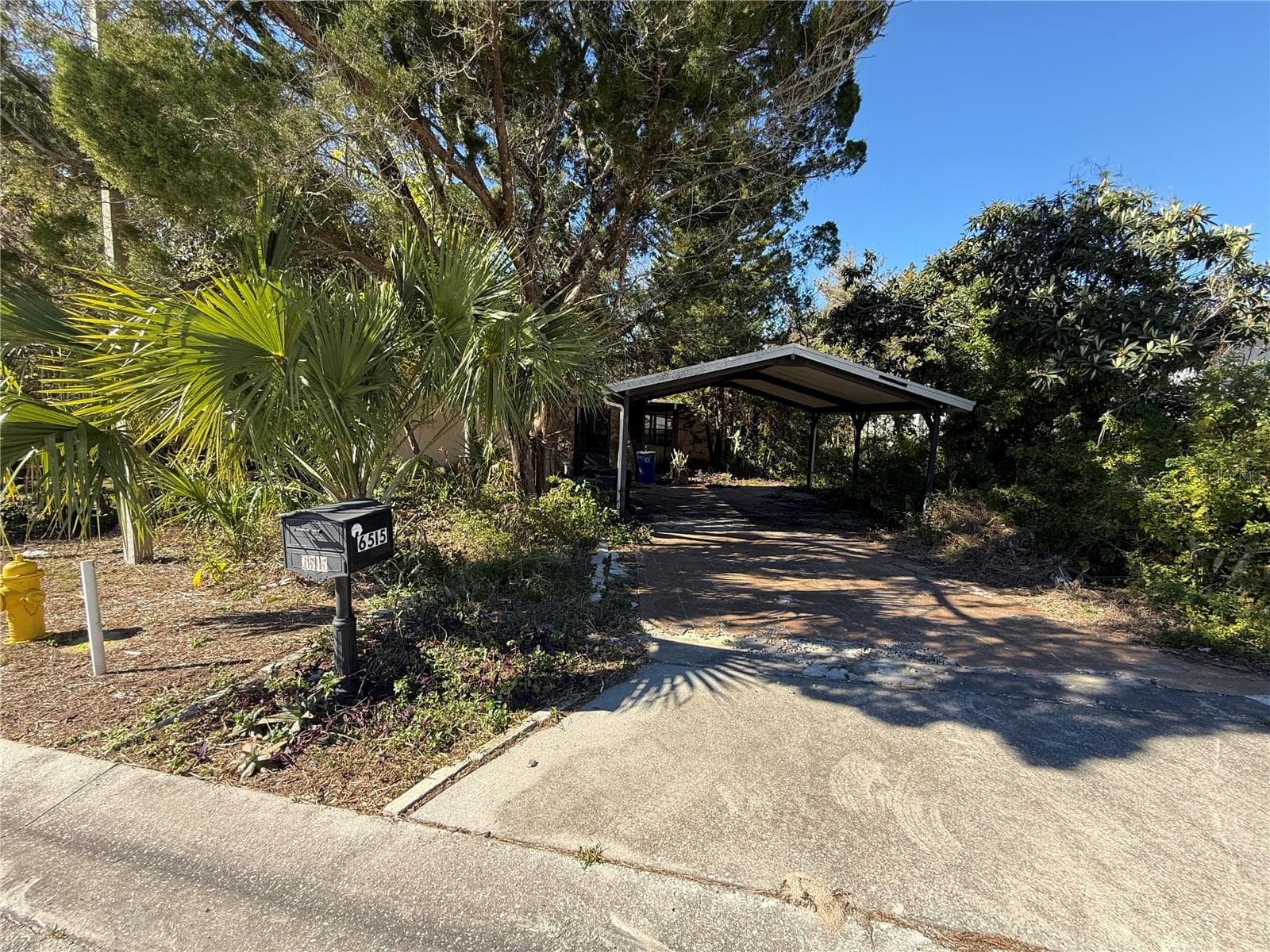 6515 Taylor CT photo 5