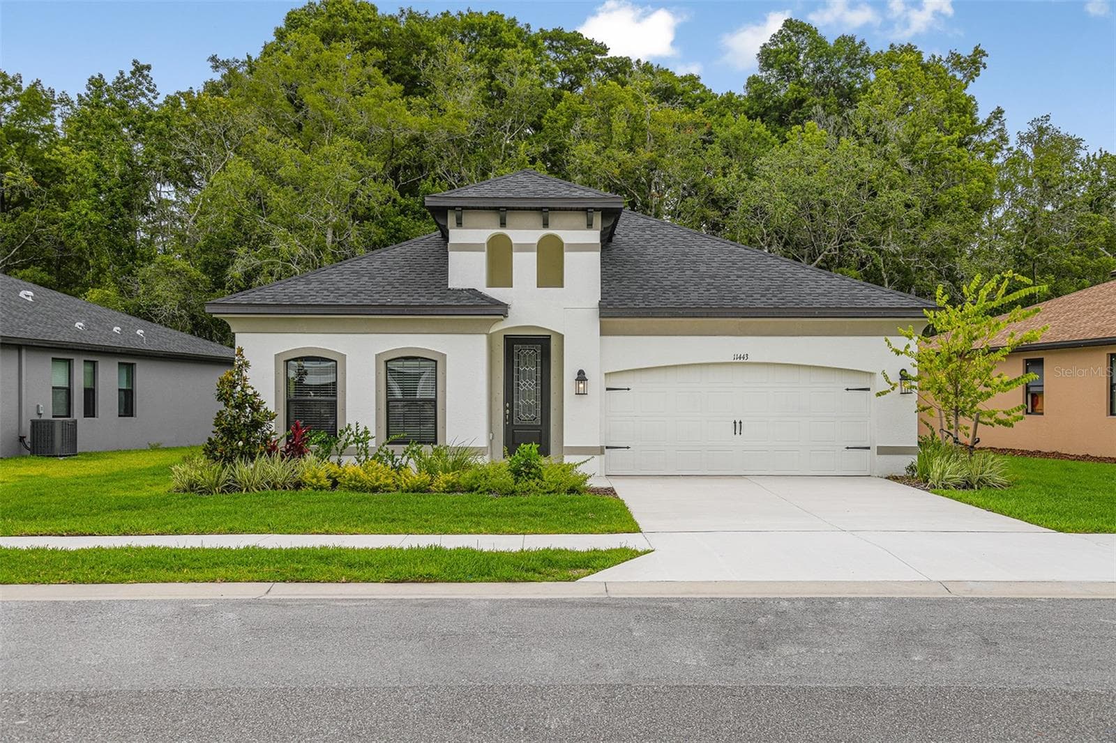 11335 Striped Bass CT