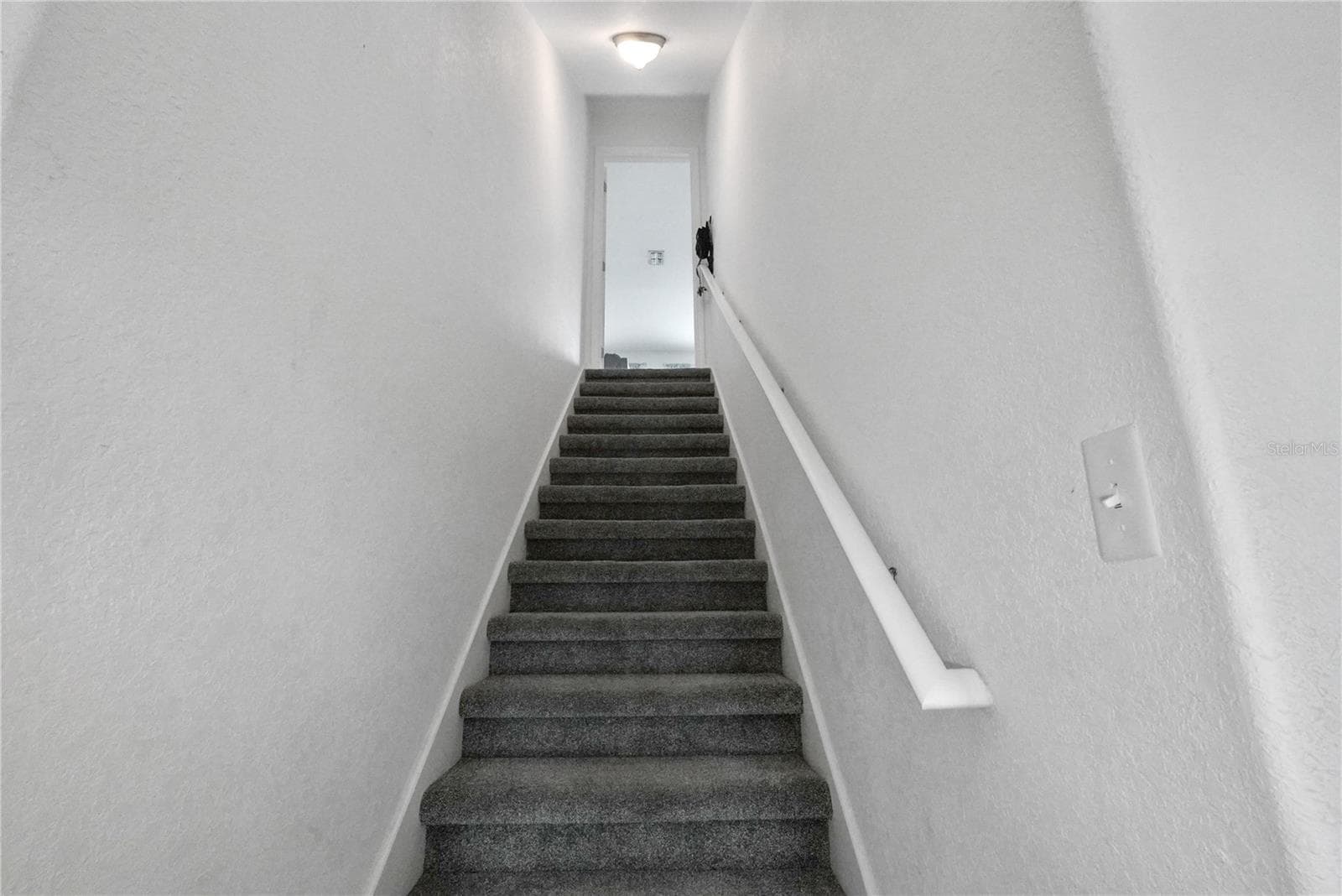 3423 Palometa Dr photo 3