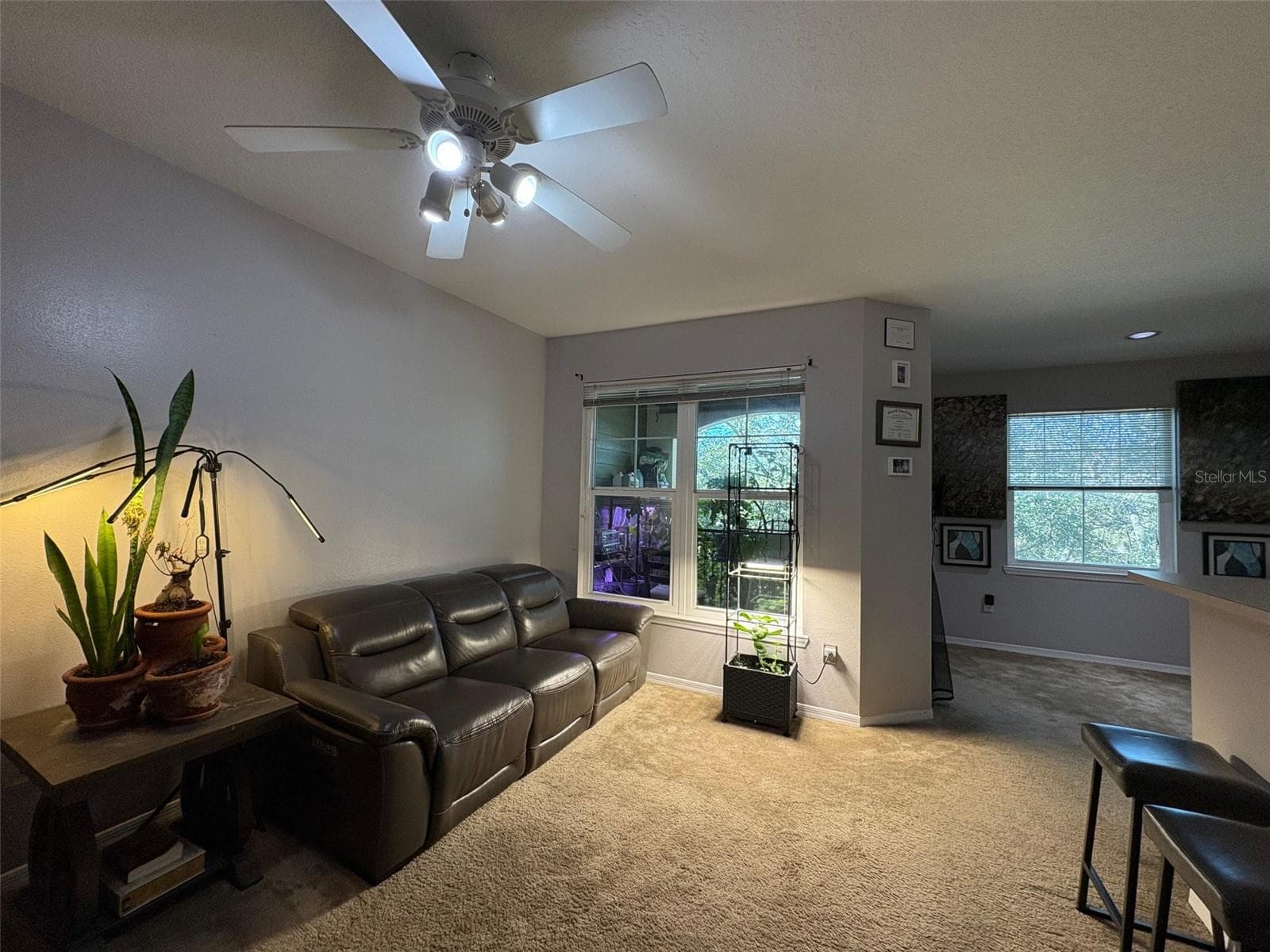 1810 E Palm Ave #7303 photo 3