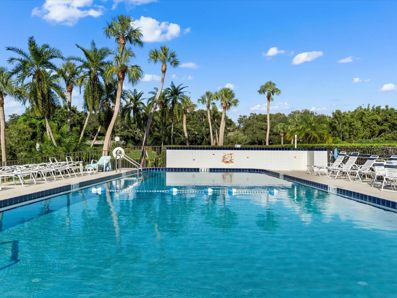 220 Belleview Blvd #702 photo 5