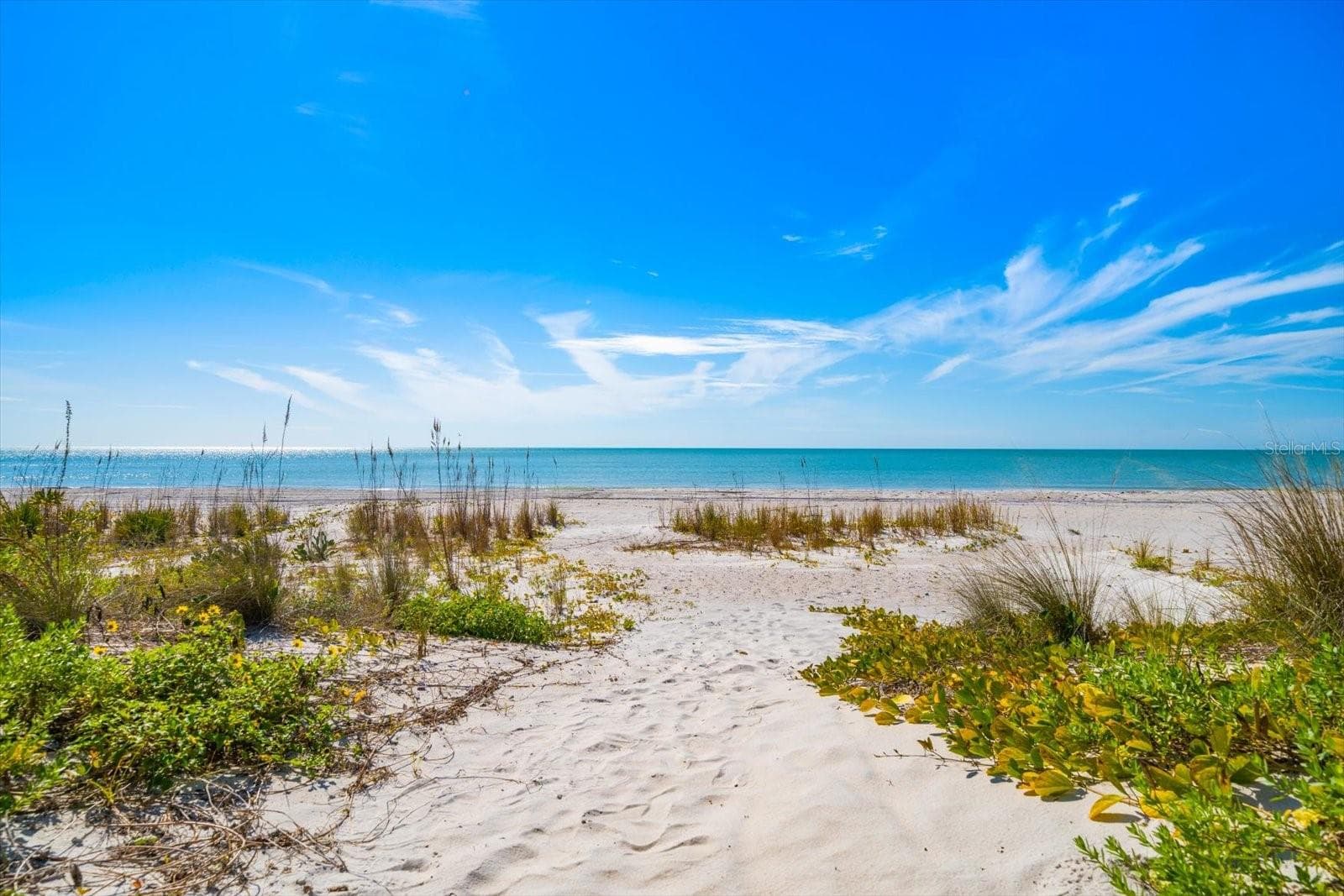 15564 Gulf Blvd photo 4
