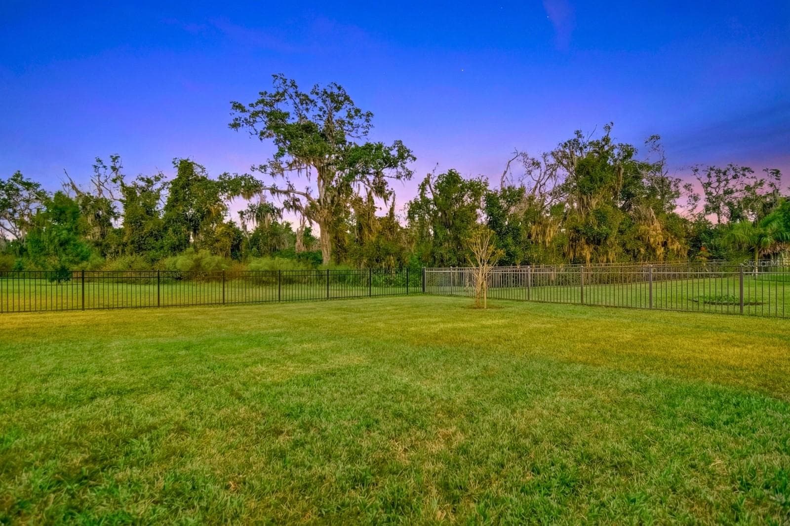 10015 Marbella Dr photo 3