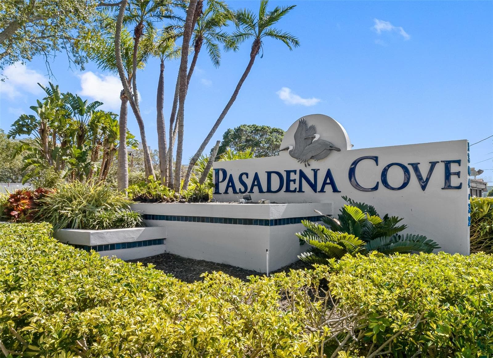 1316 Pasadena Ave S #303 photo 3