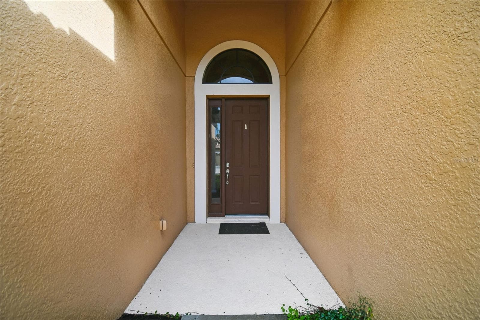 127 Silver Falls Dr photo 3