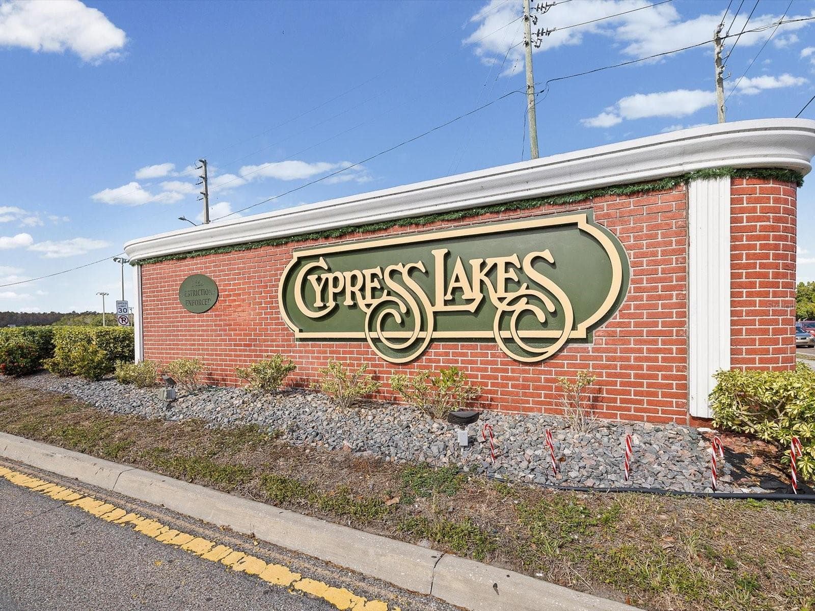 8704 Cypress Lakes Blvd photo 3