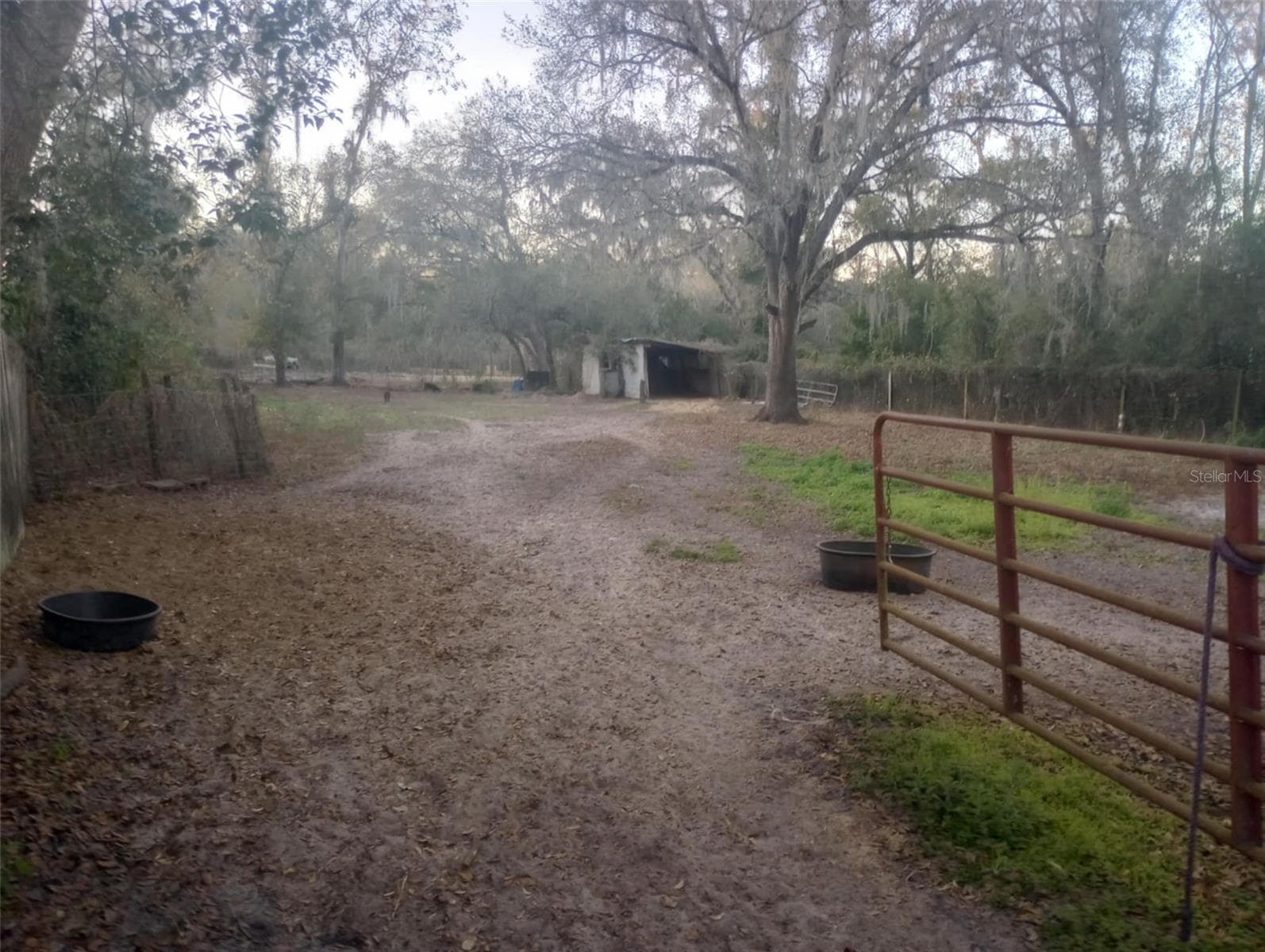 14016 N. Hwy 301 photo 3