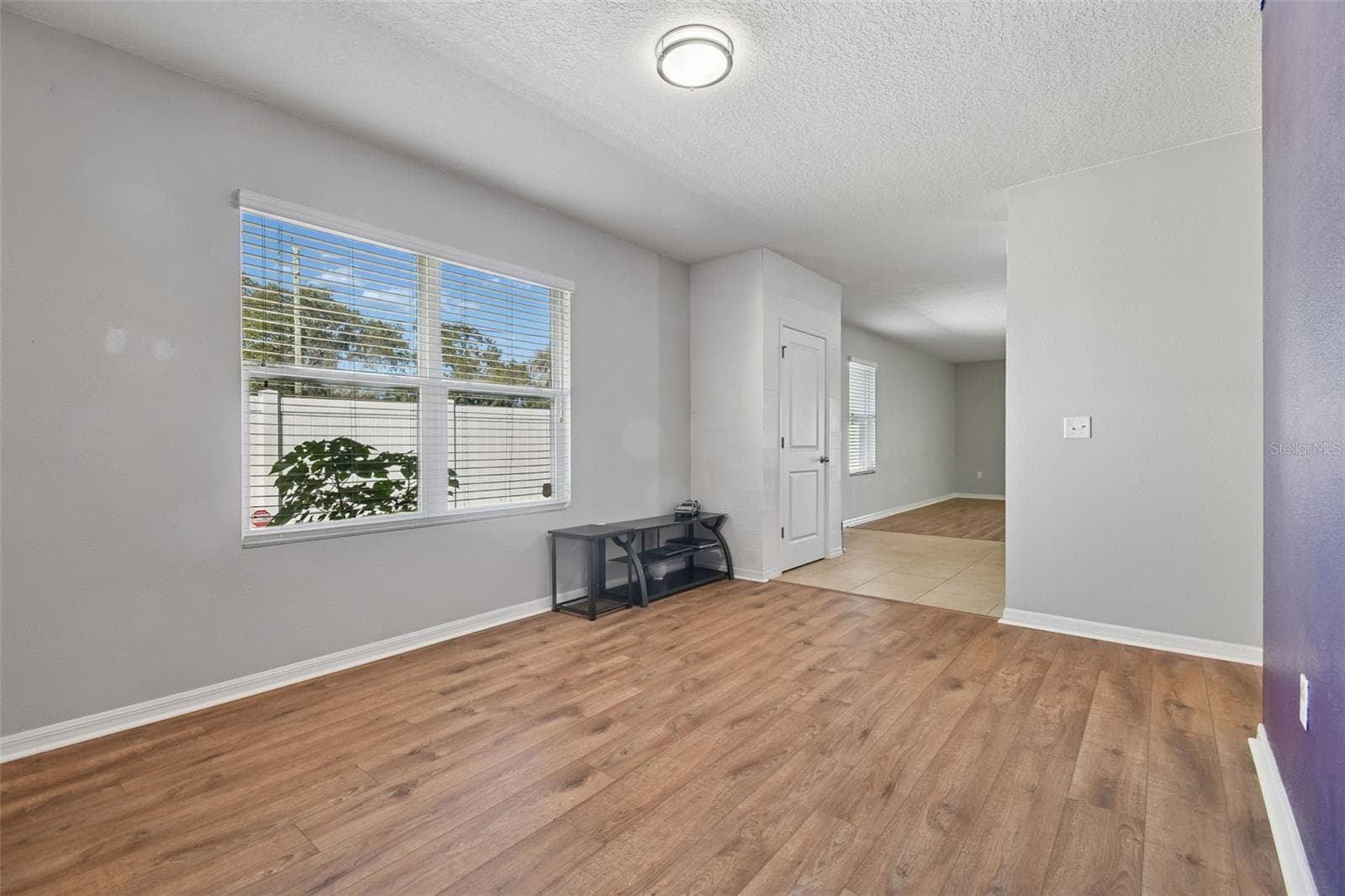 10104 Hawk Storm Ave photo 5