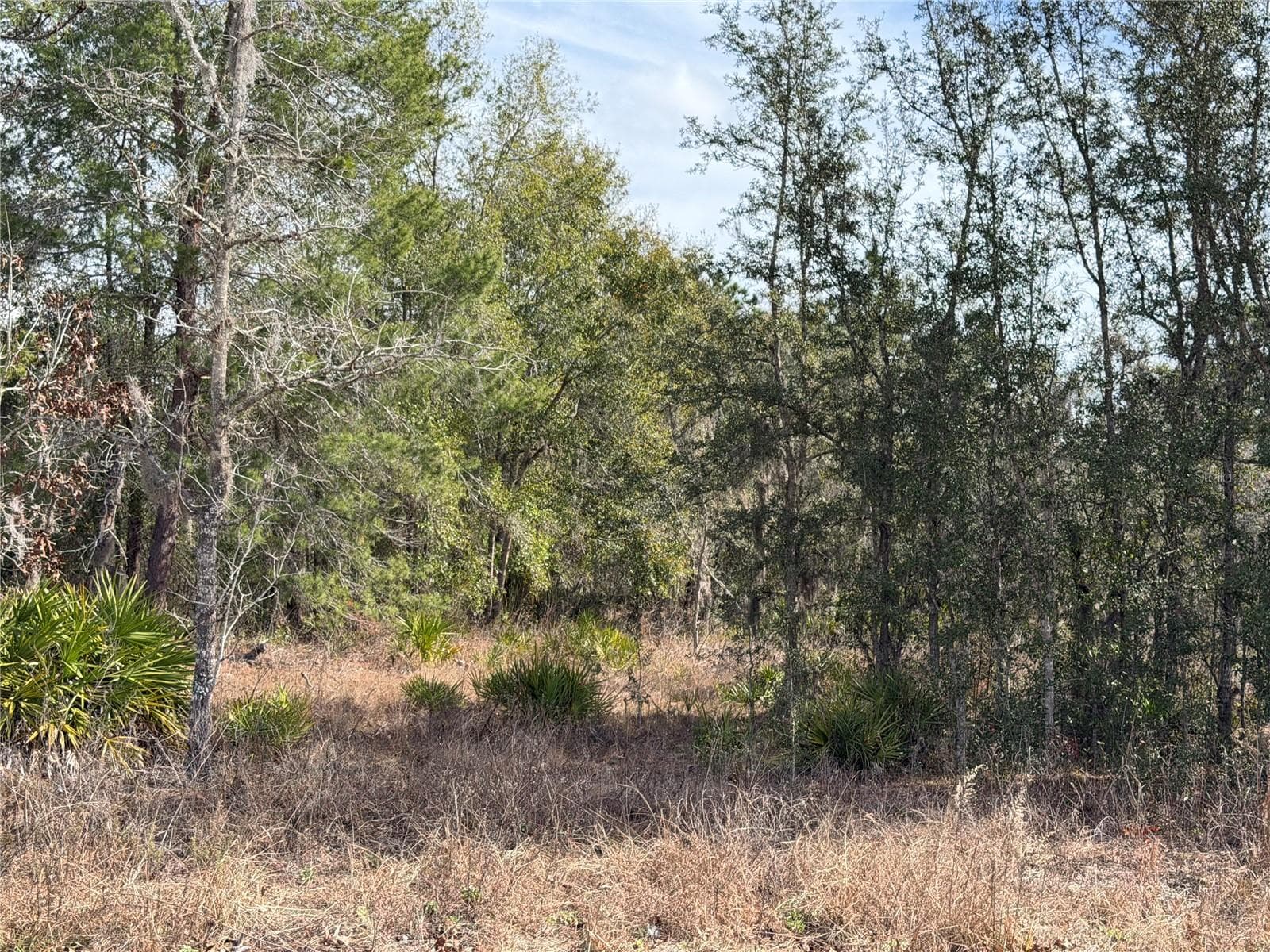 16426 Courlan Rd photo 5