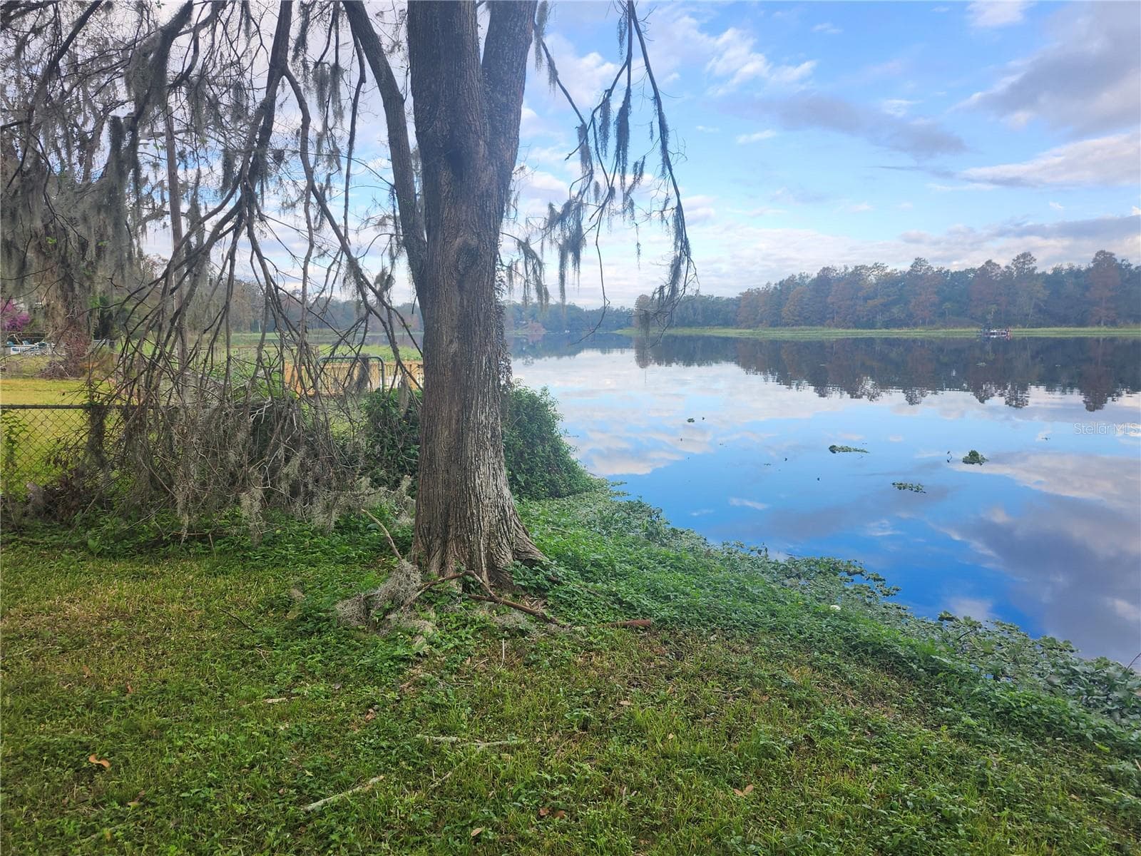 3606 River Grove Dr photo 3