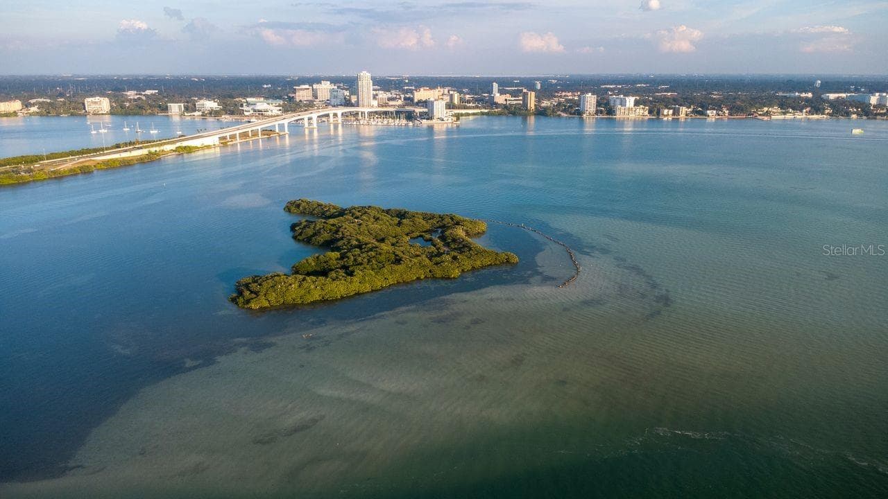 830 S Gulfview Blvd #502 photo 4