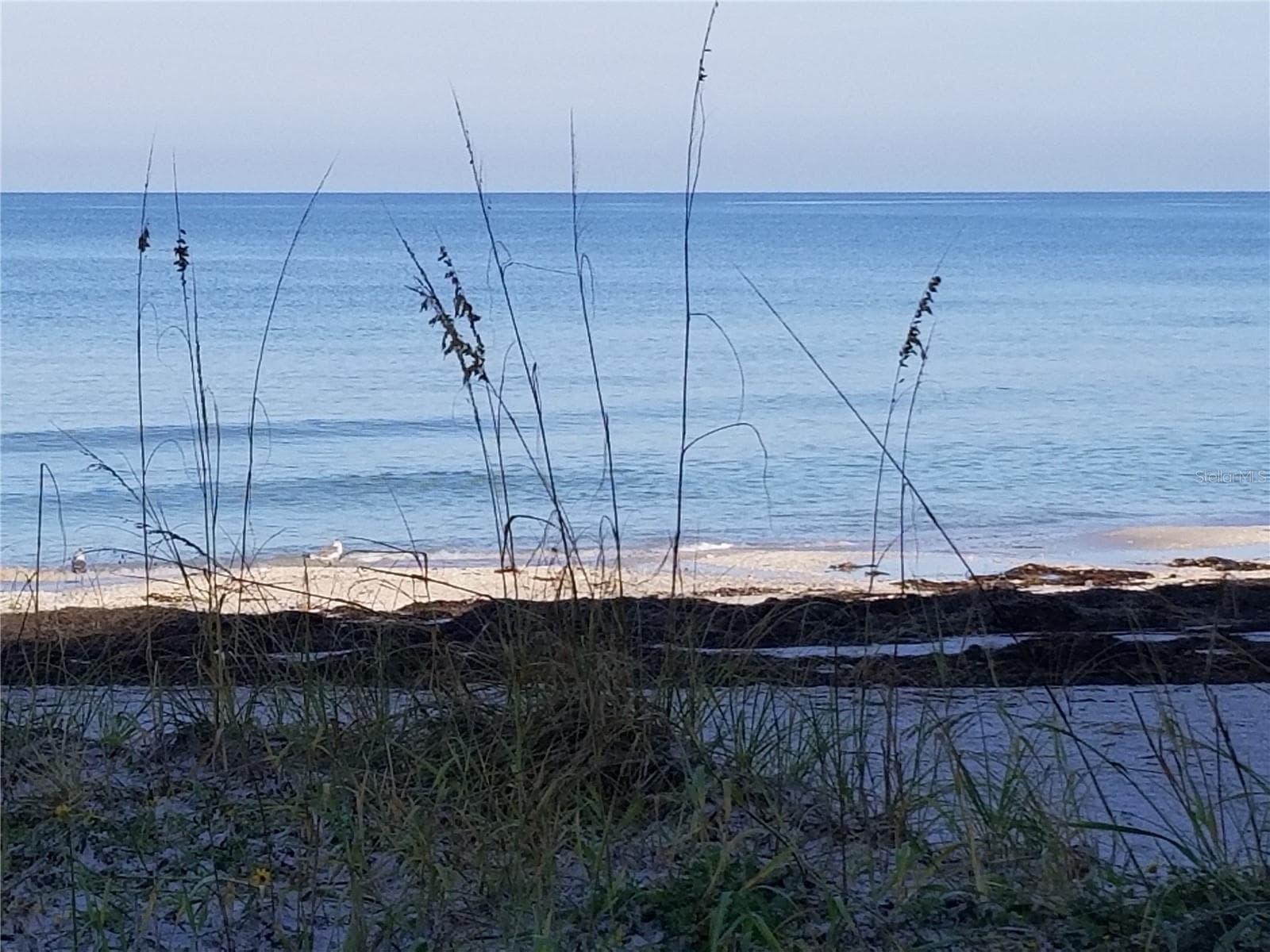 60 Gulf Blvd #201 photo 5