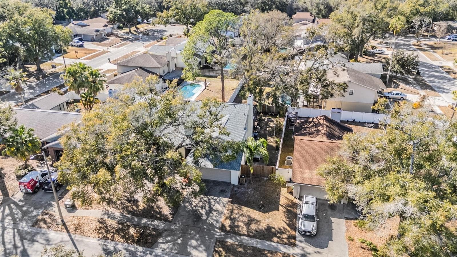 12604 Rain Forest St photo 5