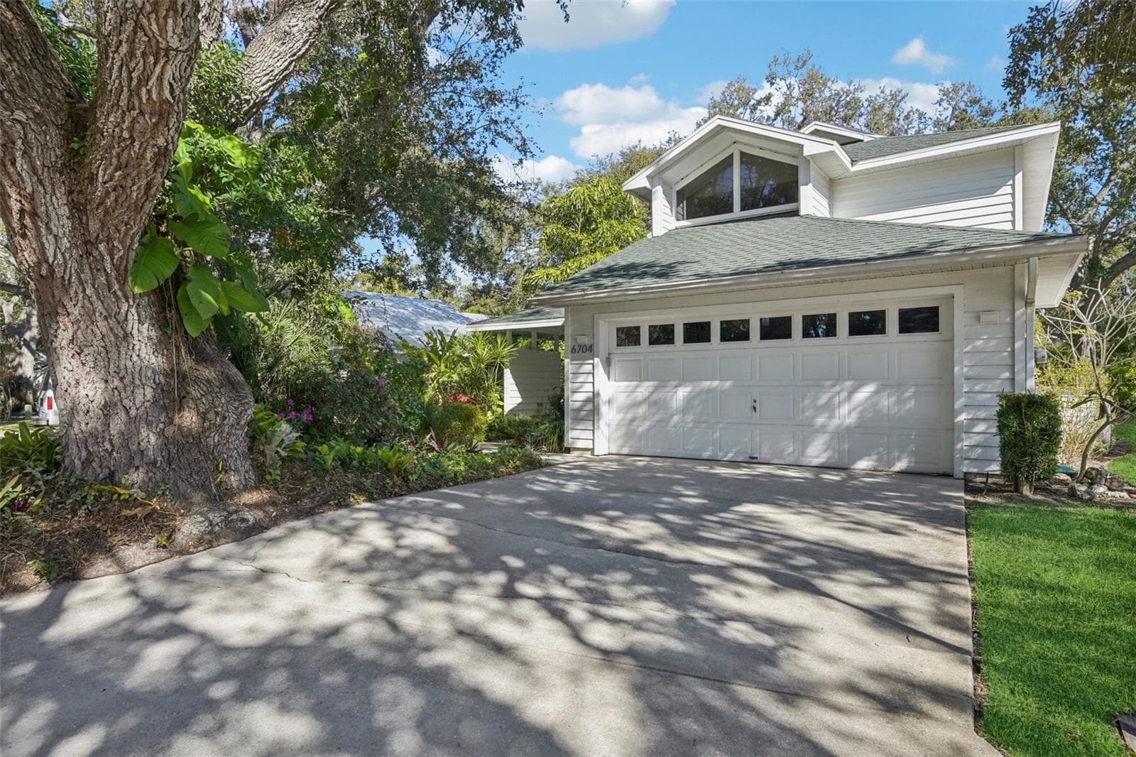 6704 Arbor Oaks Dr photo 3
