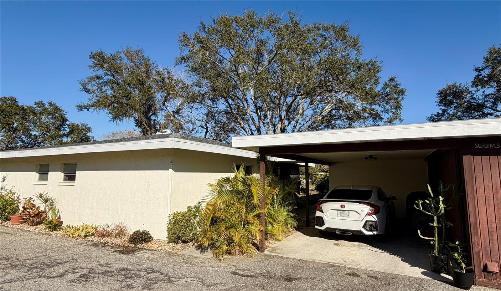 3364 Ramblewood Way #12 photo 5