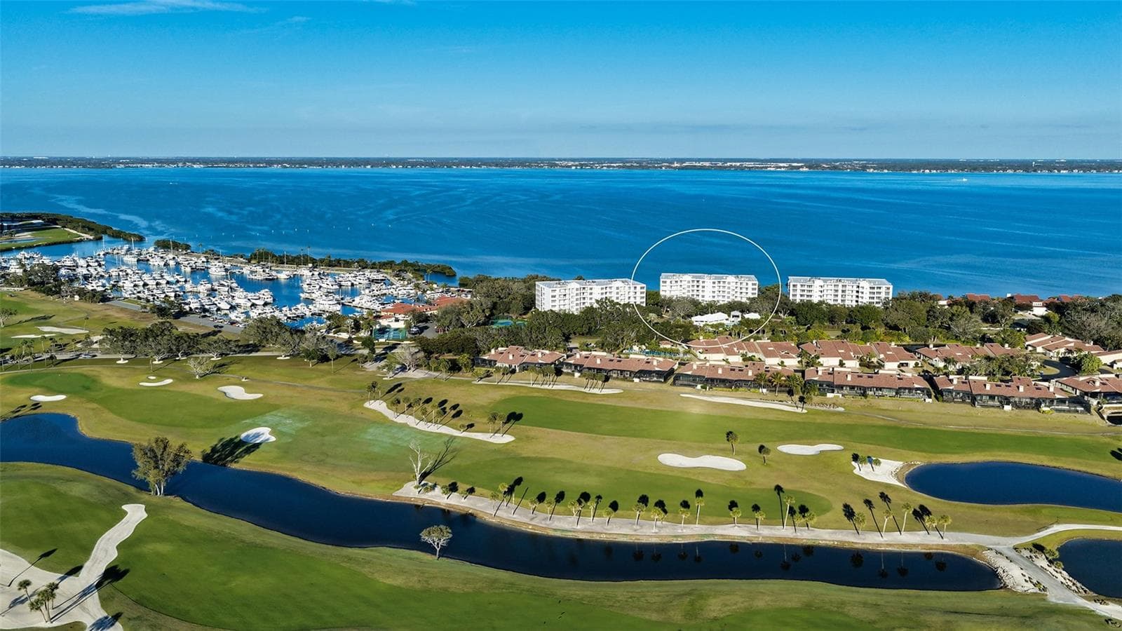 2450 Harbourside Dr #234 photo 4