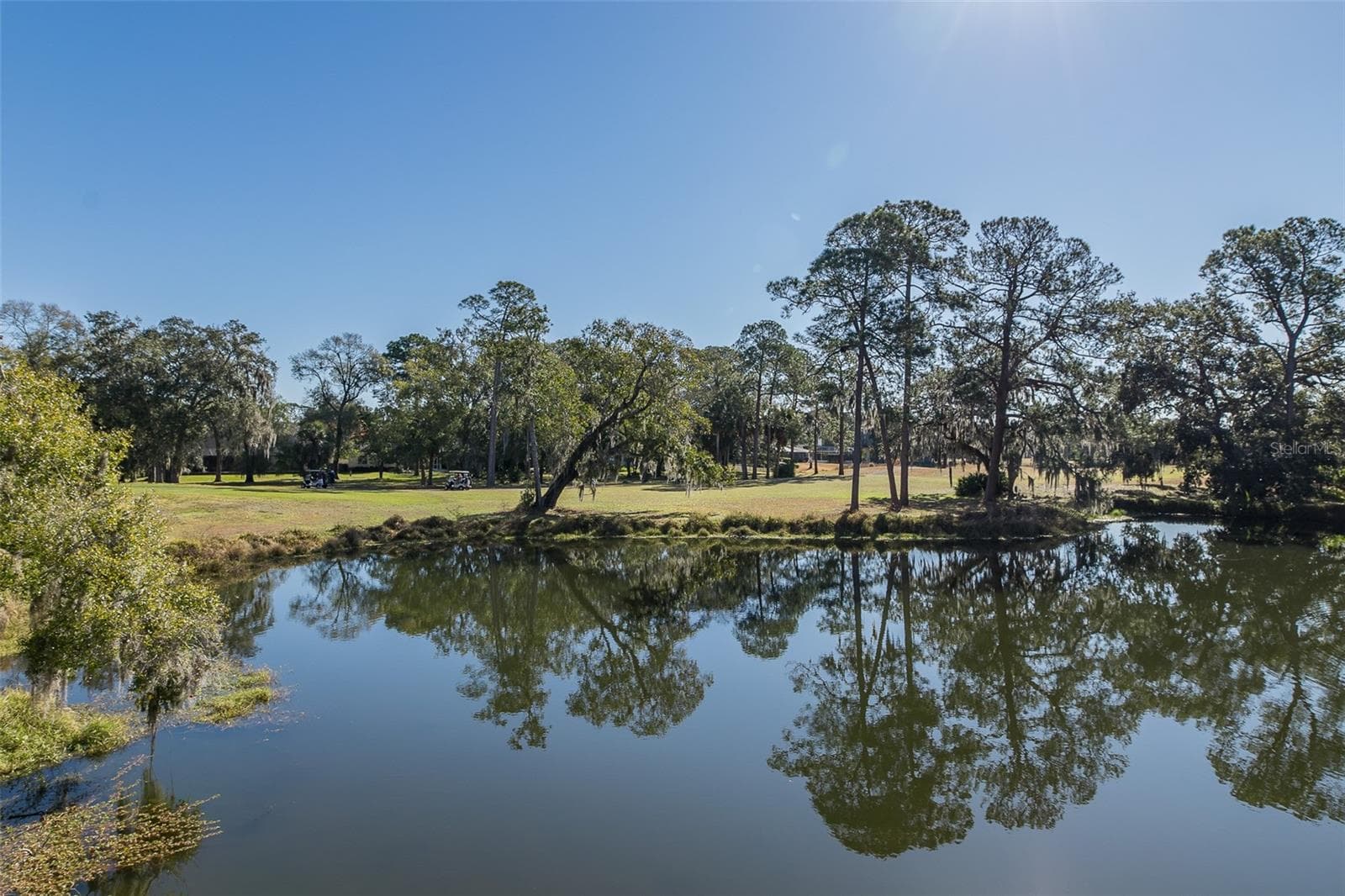 2676 Tanglewood Trl photo 4