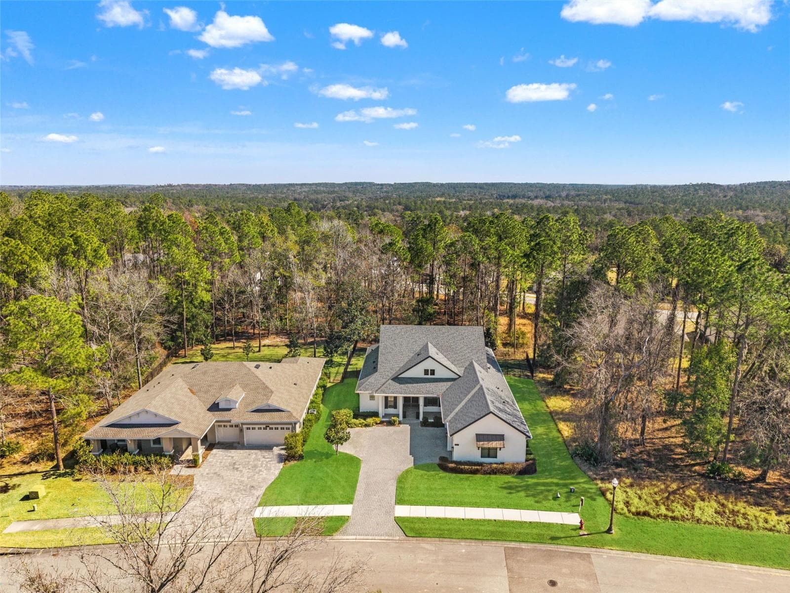 4581 Majestic Hills Loop photo 4