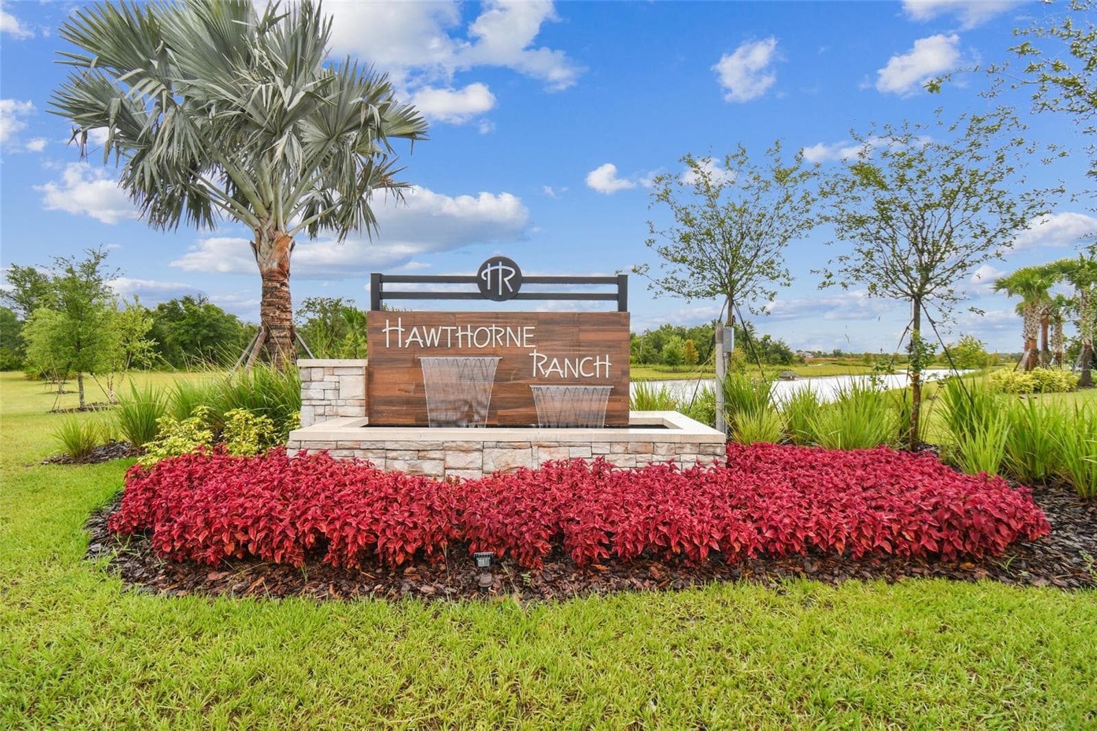 5603 Freesia Dr photo 4