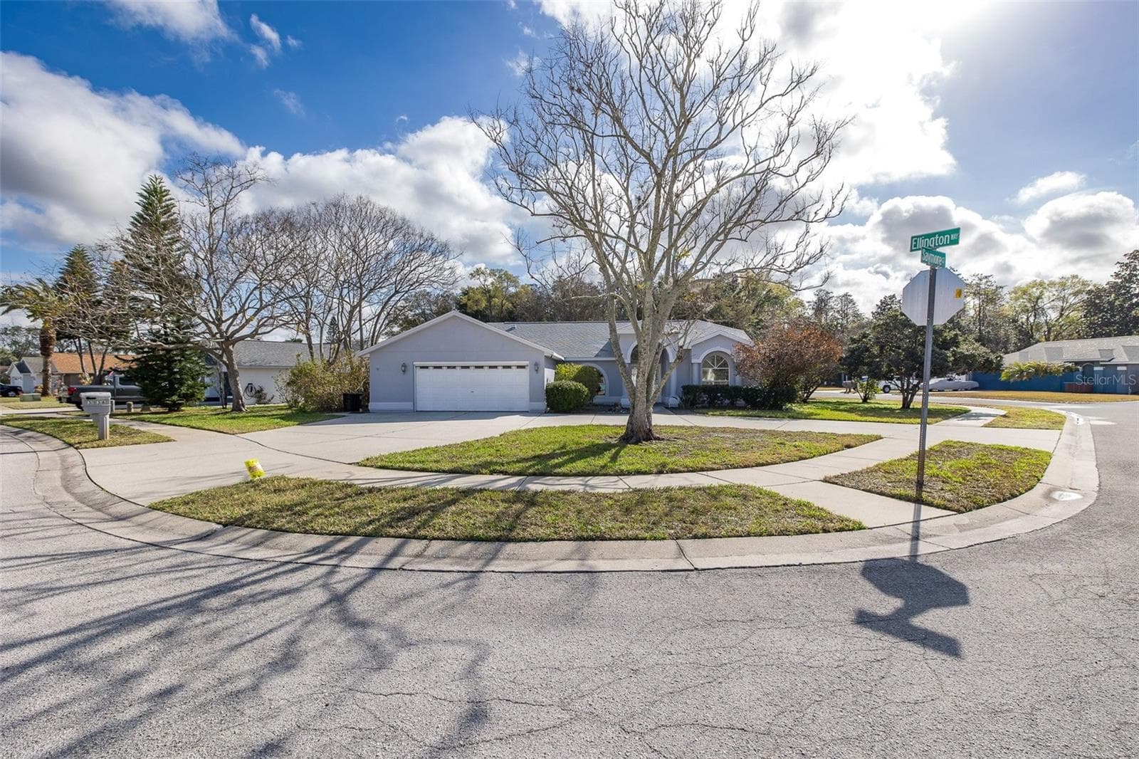 3138 Ellington Way photo 3