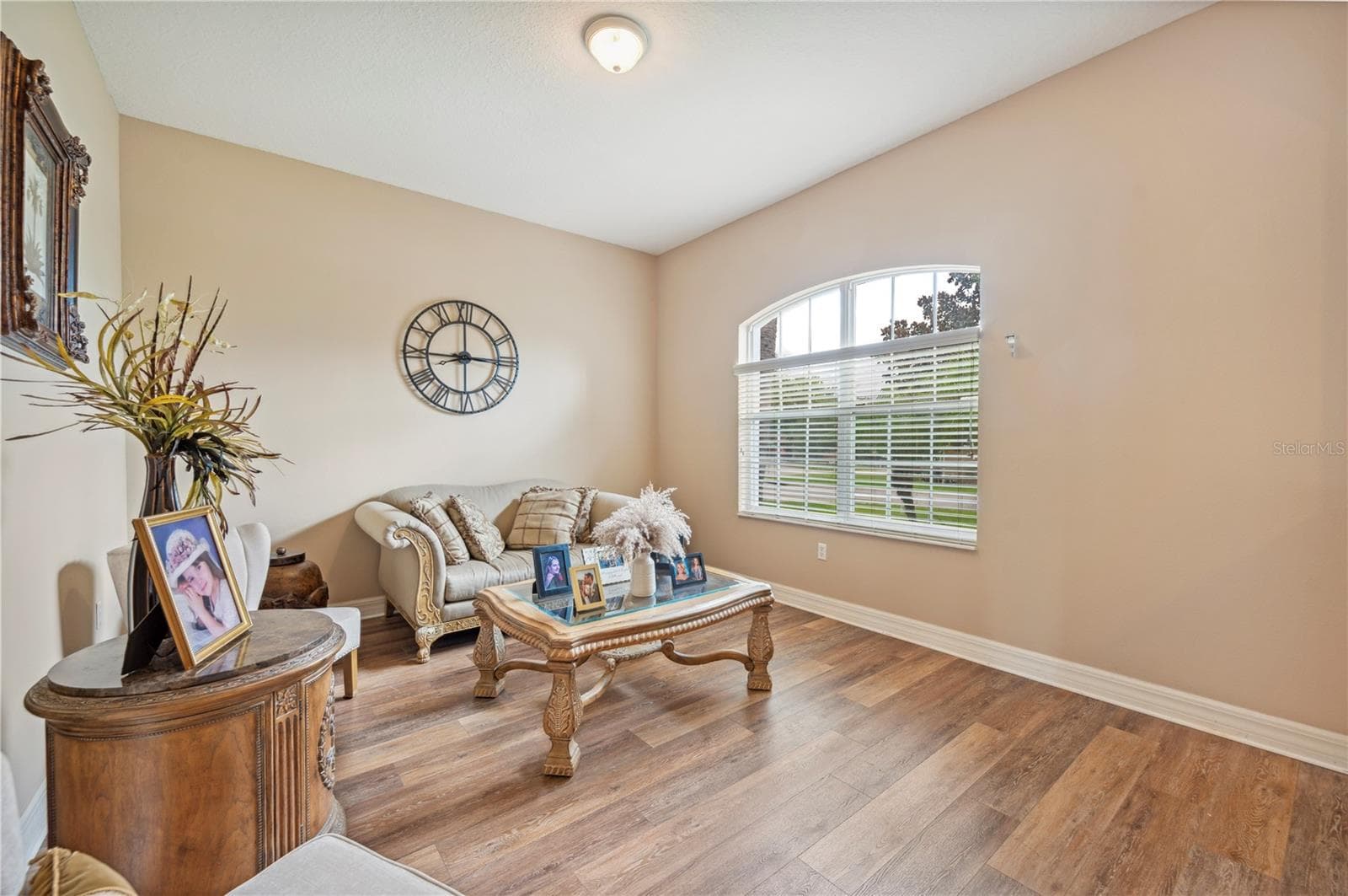 6339 Alamanda Hills Dr photo 4