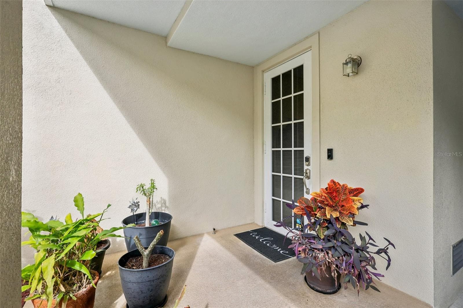 533 Bahia Beach Blvd photo 5