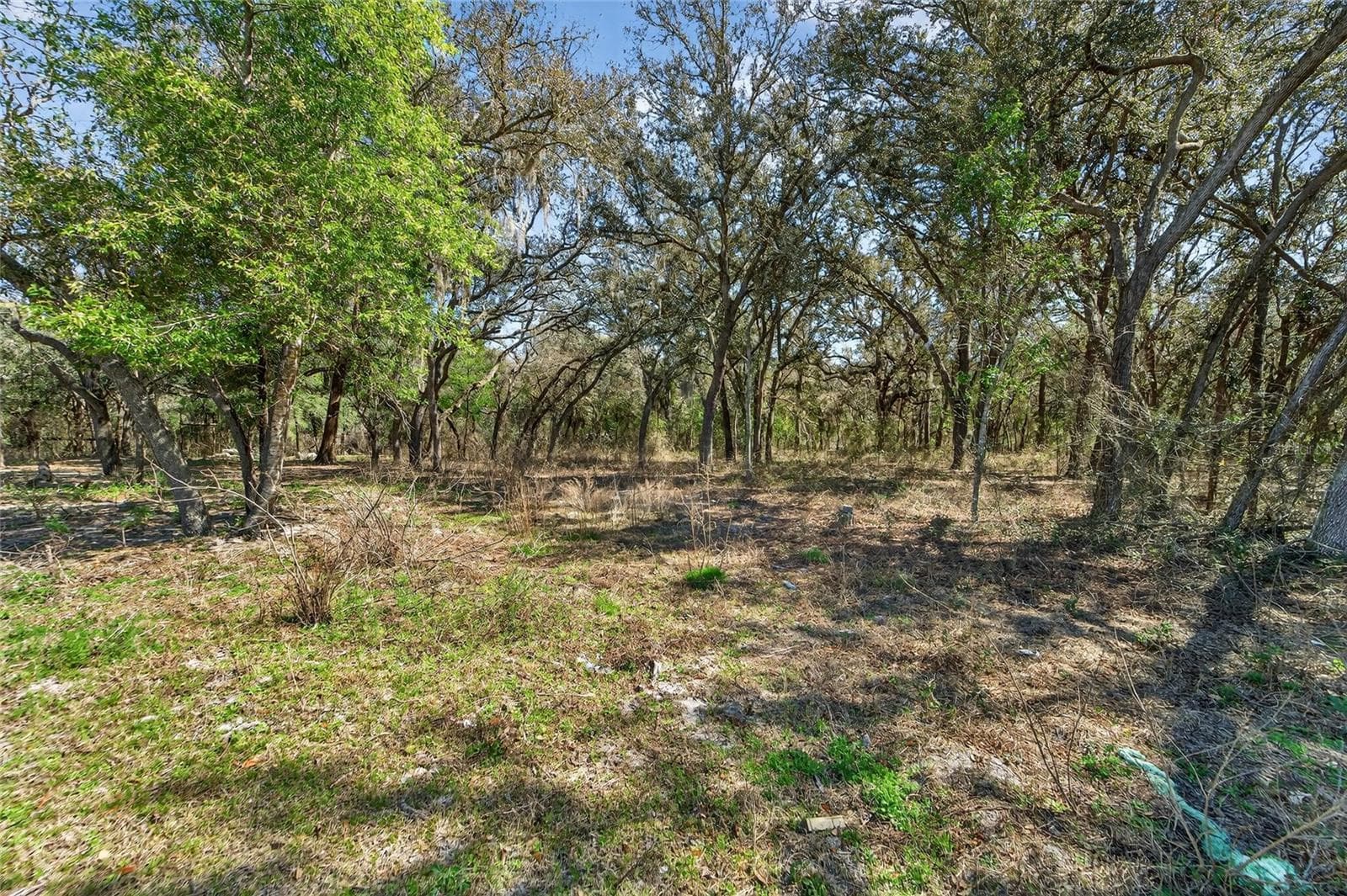 35238 Manuel St photo 4