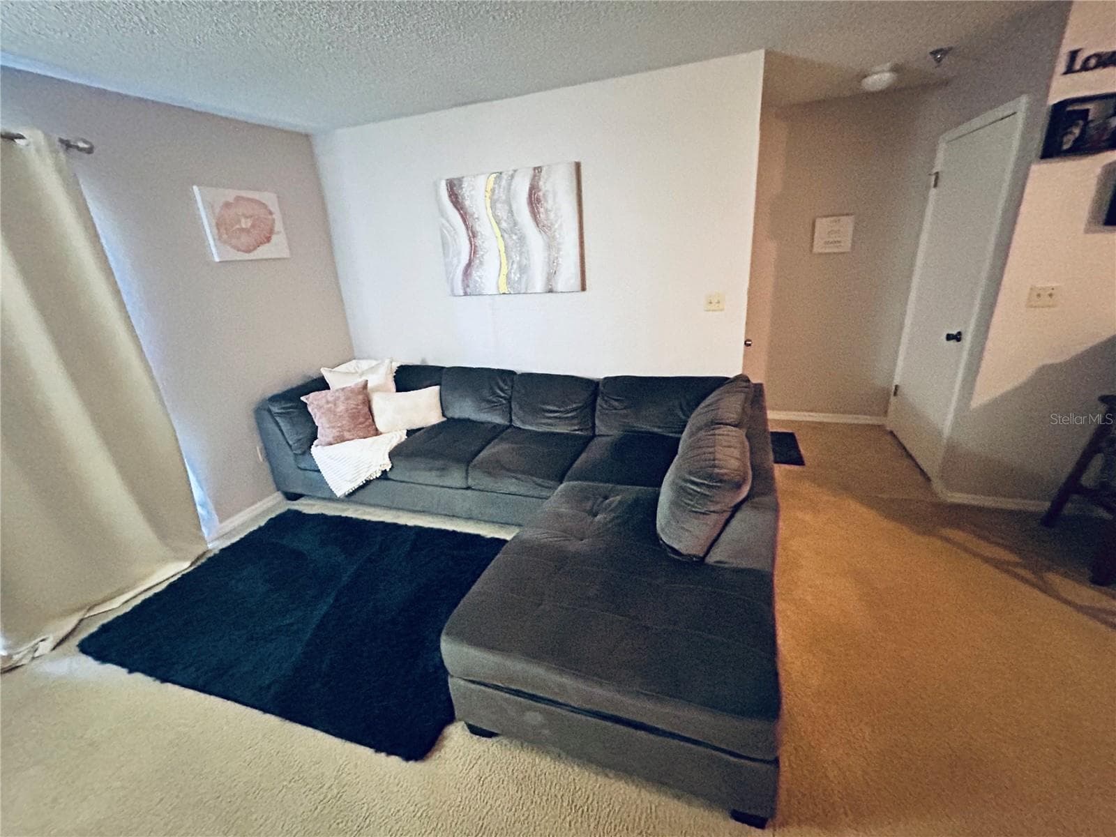10265 Gandy Blvd N #1603 photo 3