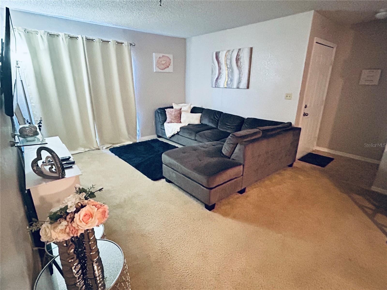 10265 Gandy Blvd N #1603 photo 4
