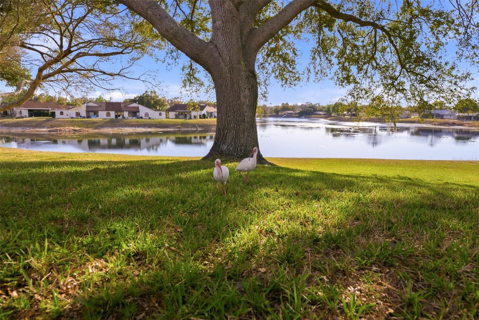 7406 Heather Walk Dr photo 5