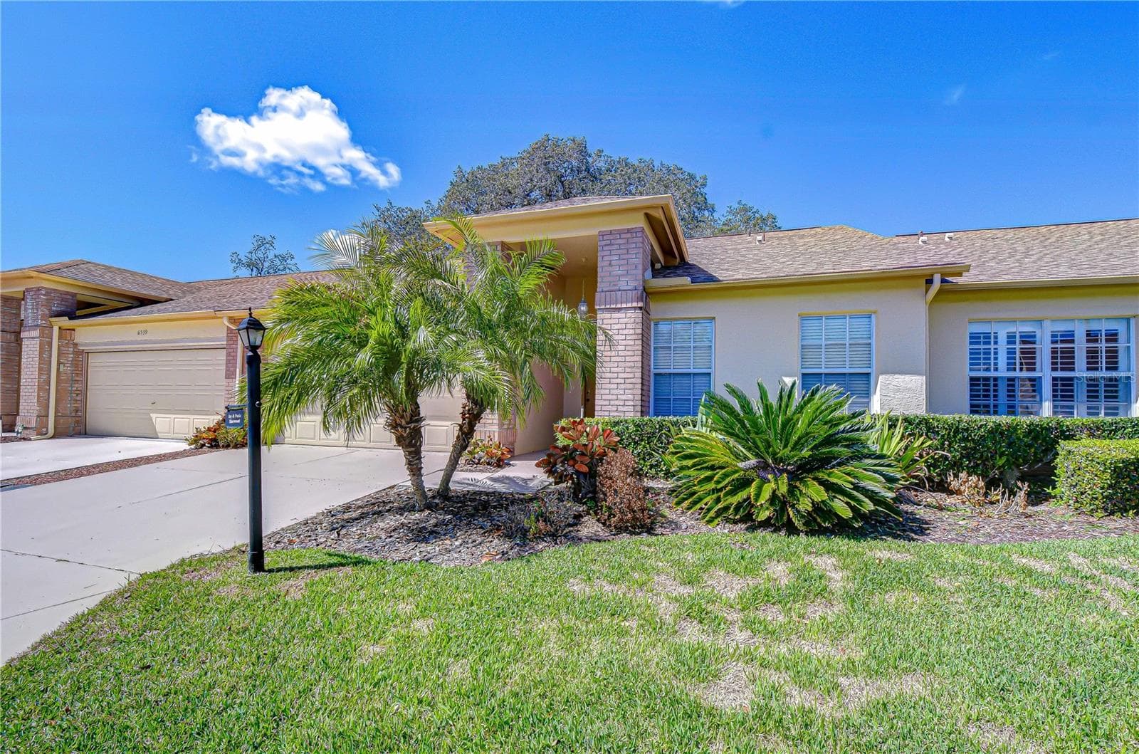 6543 Pine Walk Dr photo 3