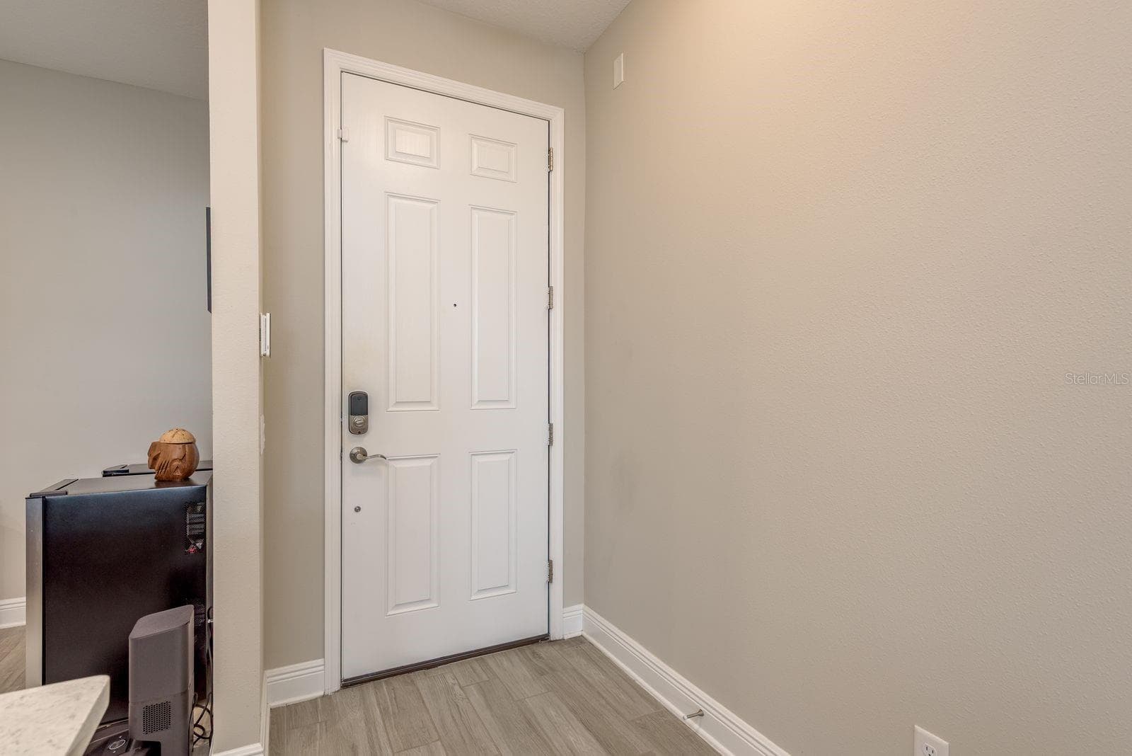 2442 Foggy Creek Cir photo 4