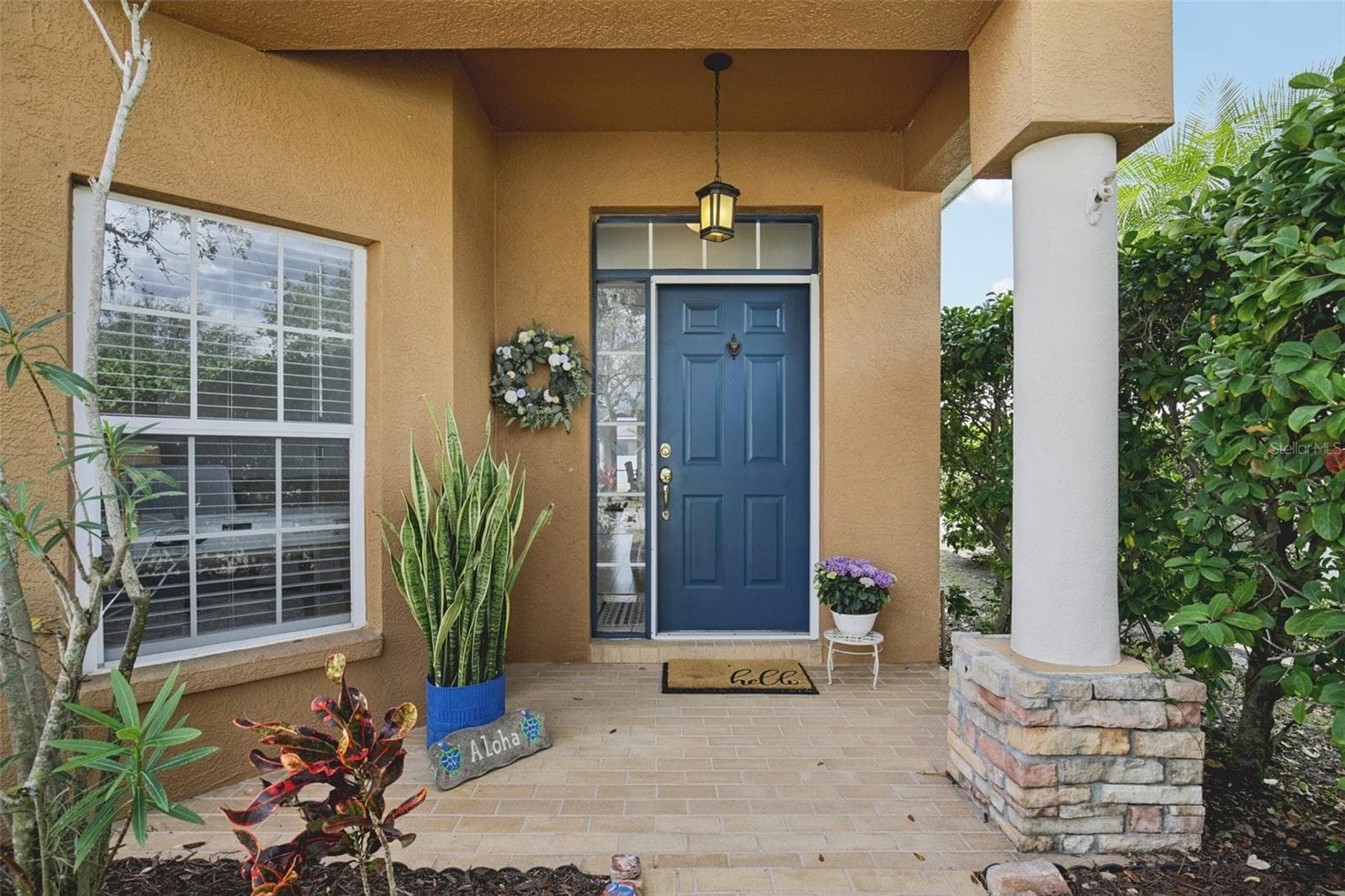 7164 Spikerush CT photo 3