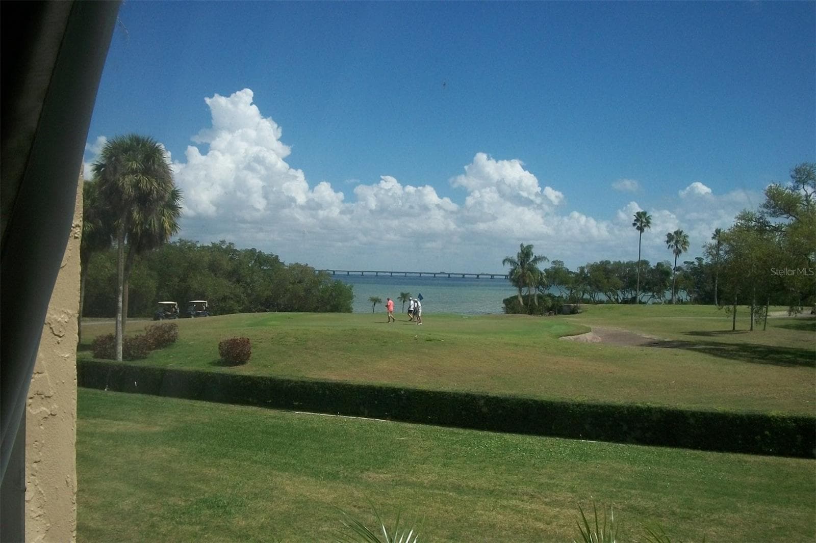 2616 Cove Cay Dr #207 photo 4