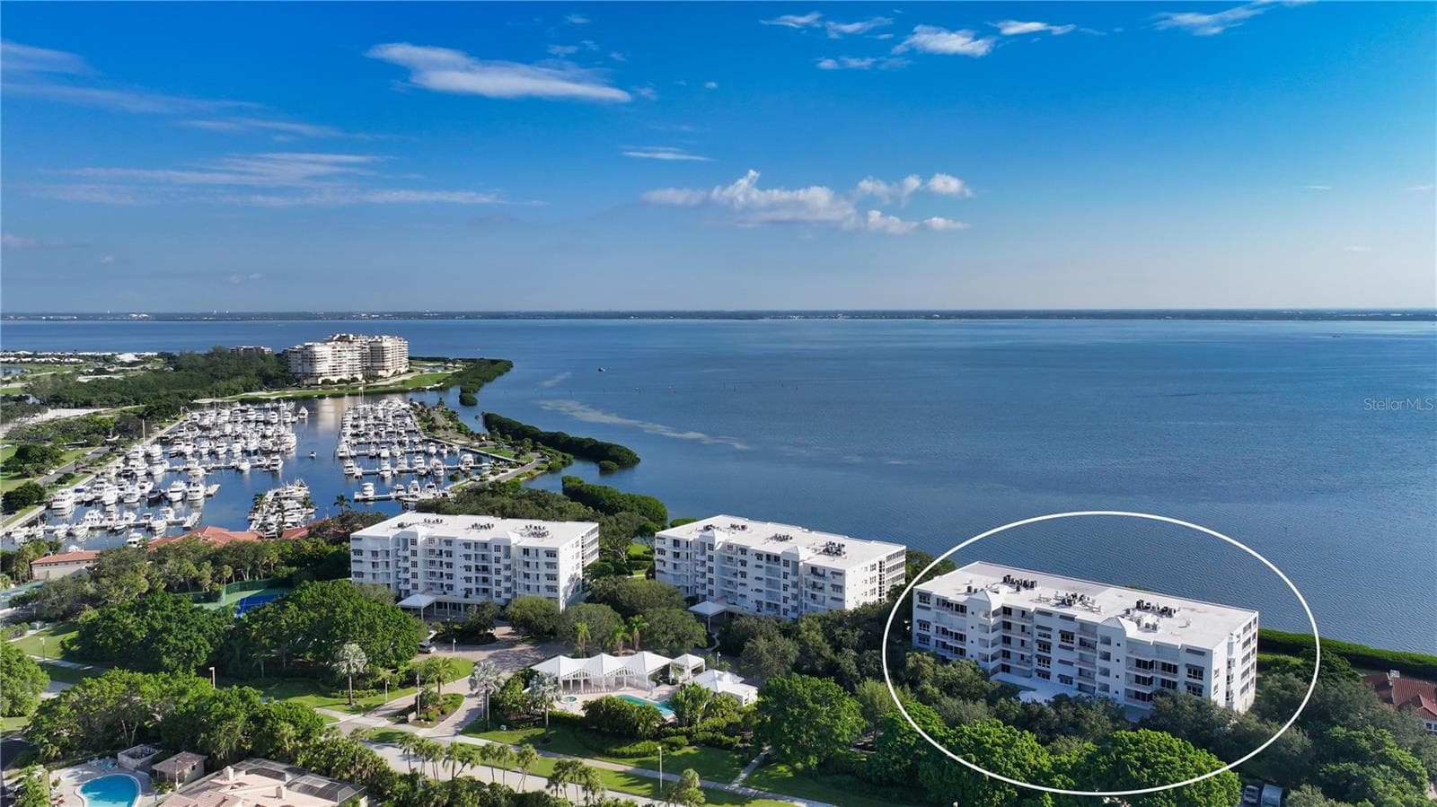 2410 Harbourside Dr #142