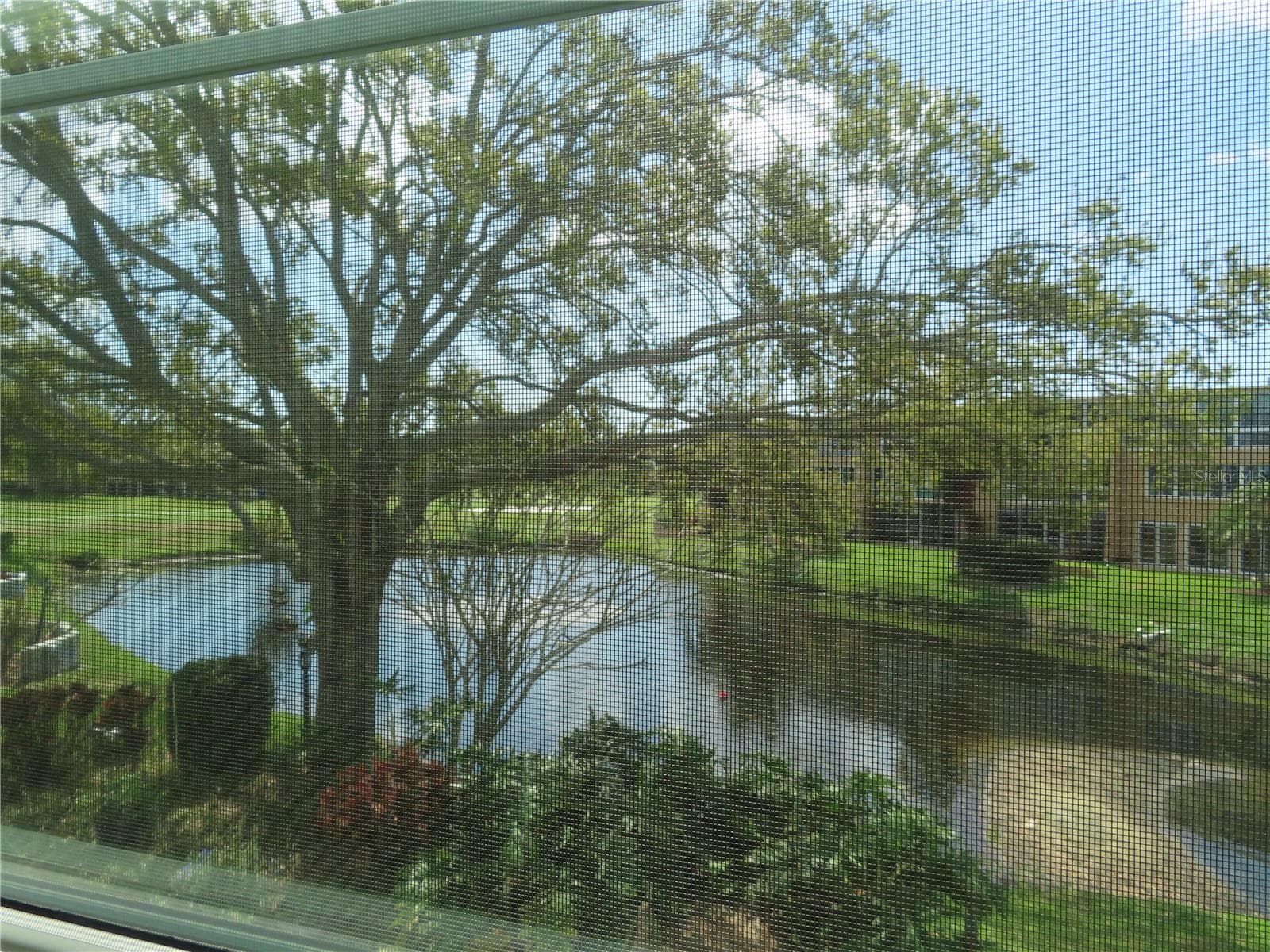 225 Country Club Dr #C225 photo 3