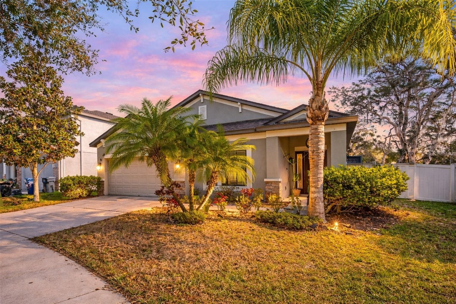 11652 Palmetto Pine St photo 3
